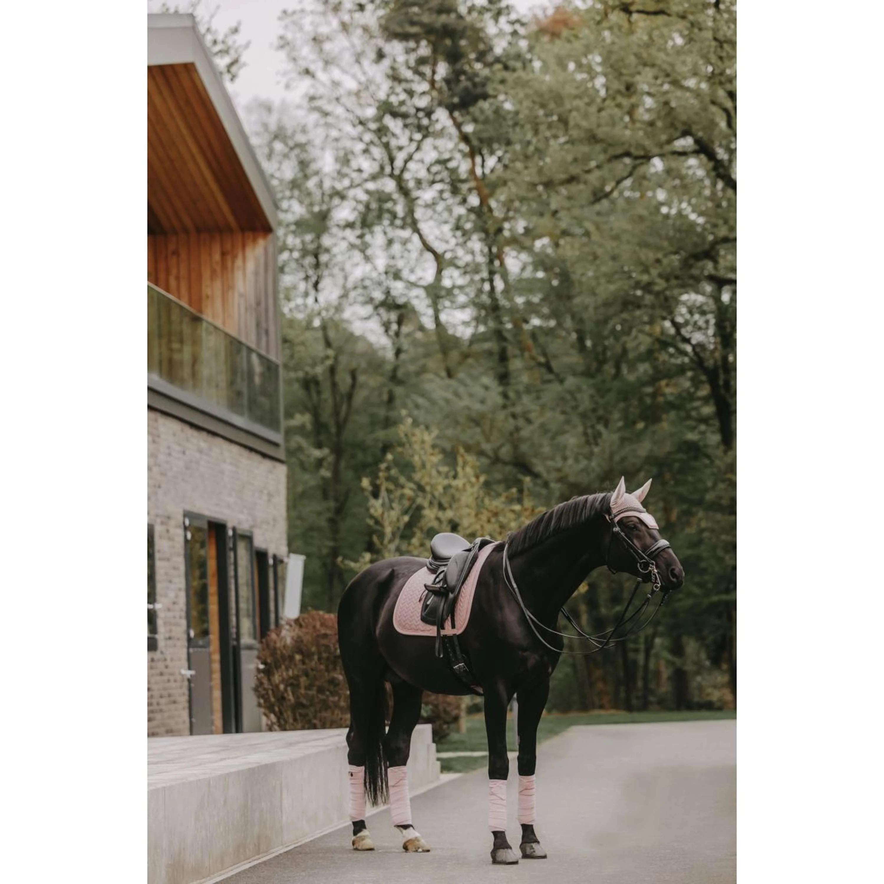Kentucky Horsewear Sottosella Velvet Pearls Dressage Soft Rose - Image 2