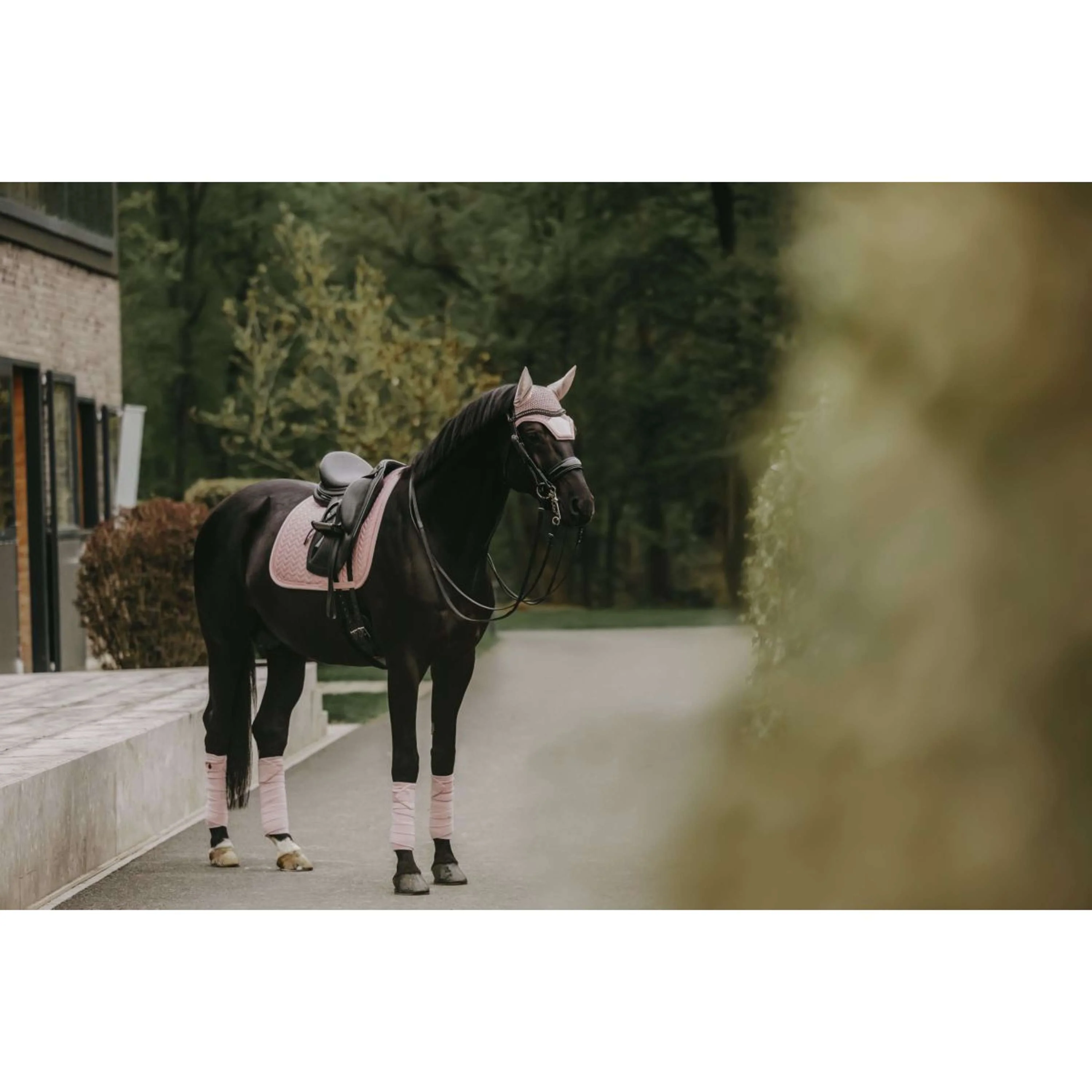 Kentucky Horsewear Sottosella Velvet Pearls Dressage Soft Rose - Image 3