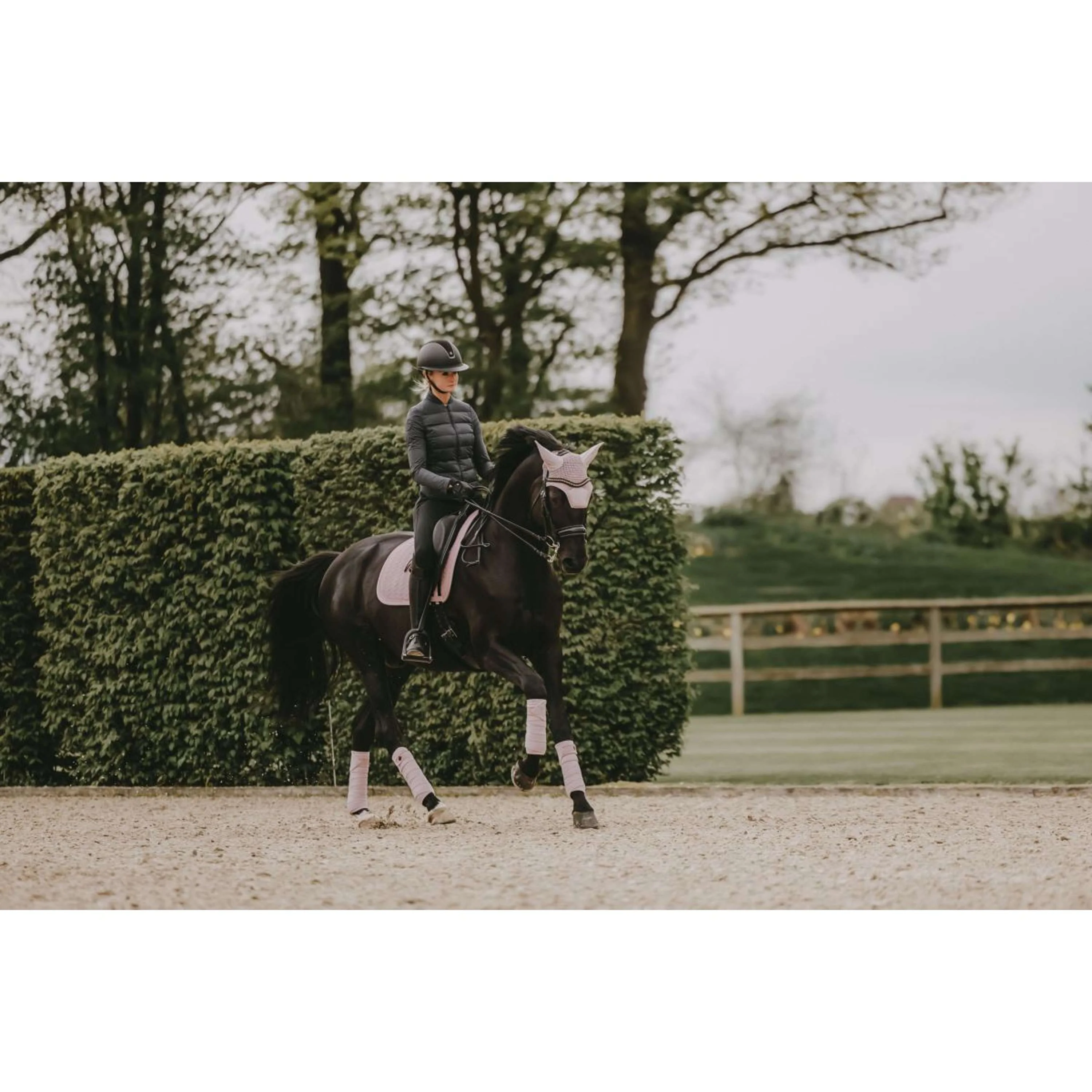 Kentucky Horsewear Sottosella Velvet Pearls Dressage Soft Rose - Image 4