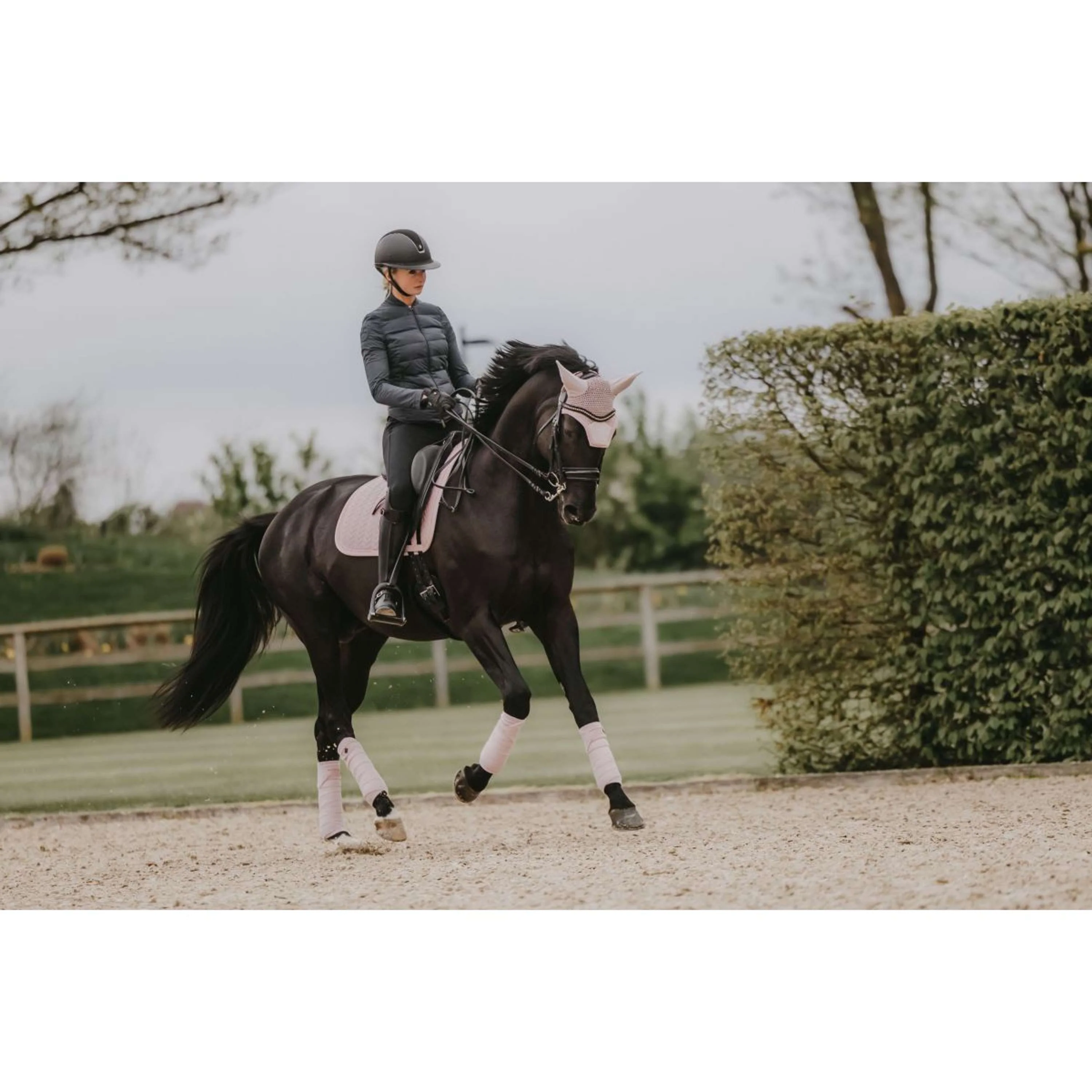 Kentucky Horsewear Sottosella Velvet Pearls Dressage Soft Rose - Image 5