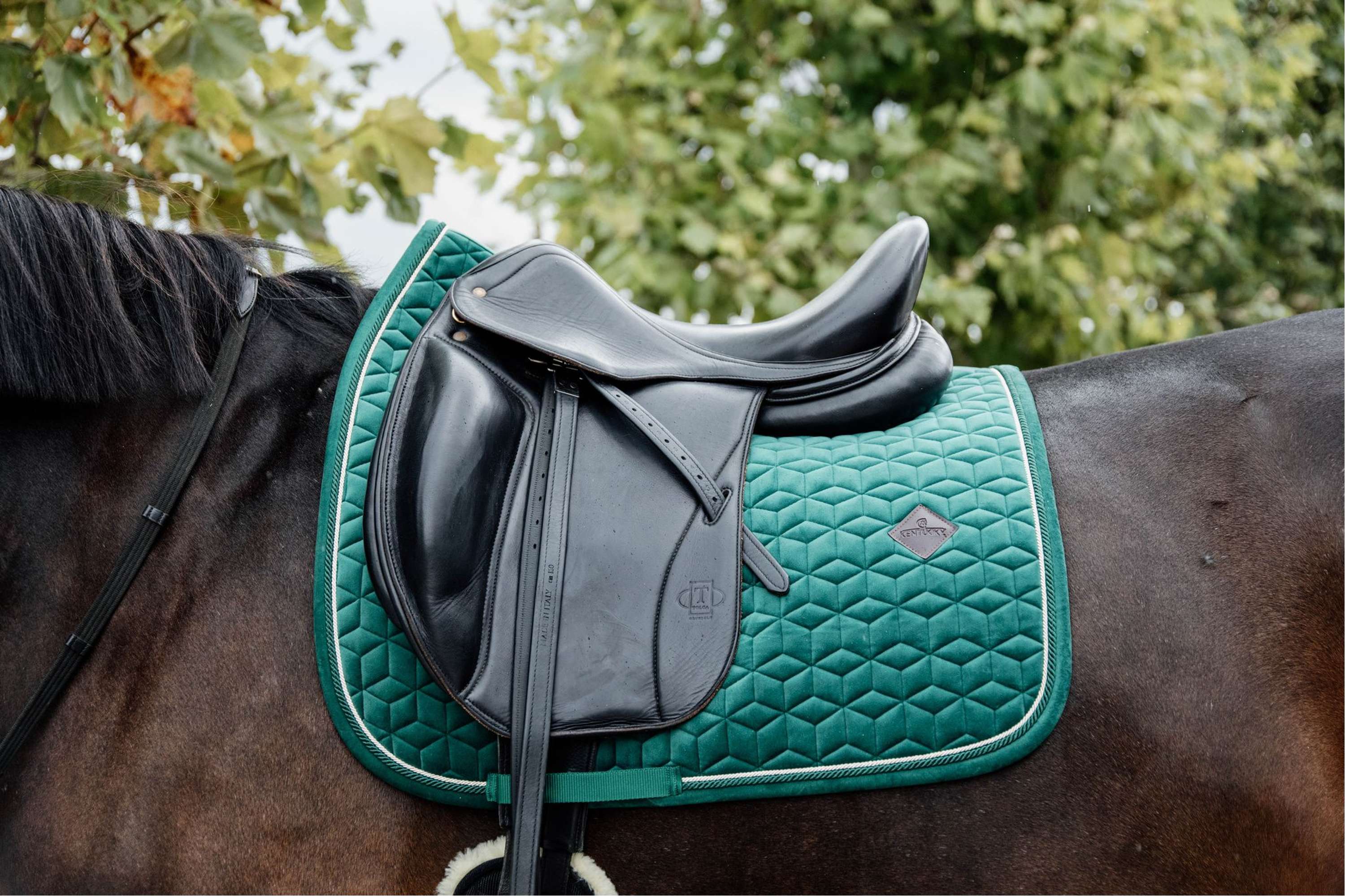 Kentucky Horsewear Sottosella Velvet Verde scuro - Image 2