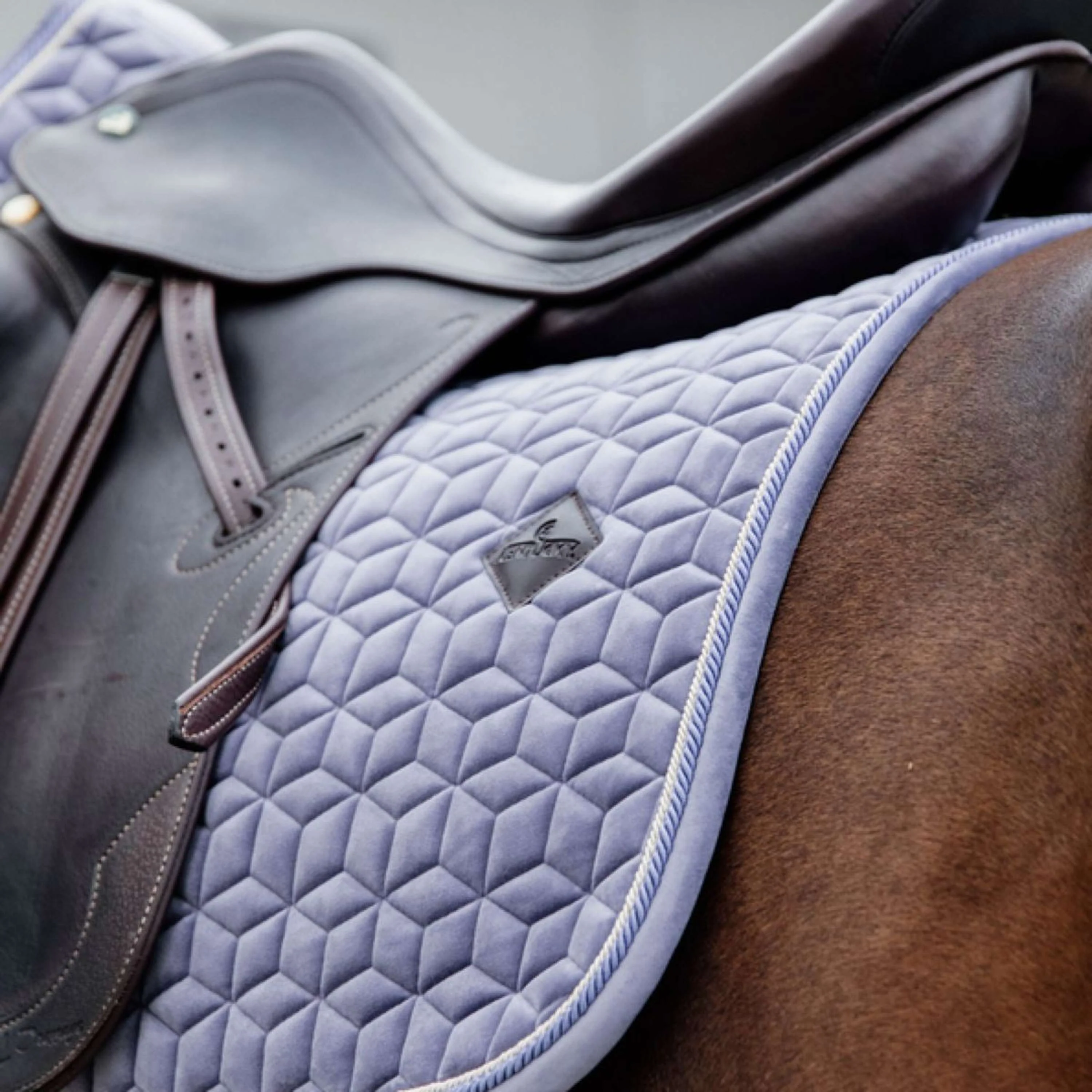 Kentucky Horsewear Sottosella Viola - Image 3