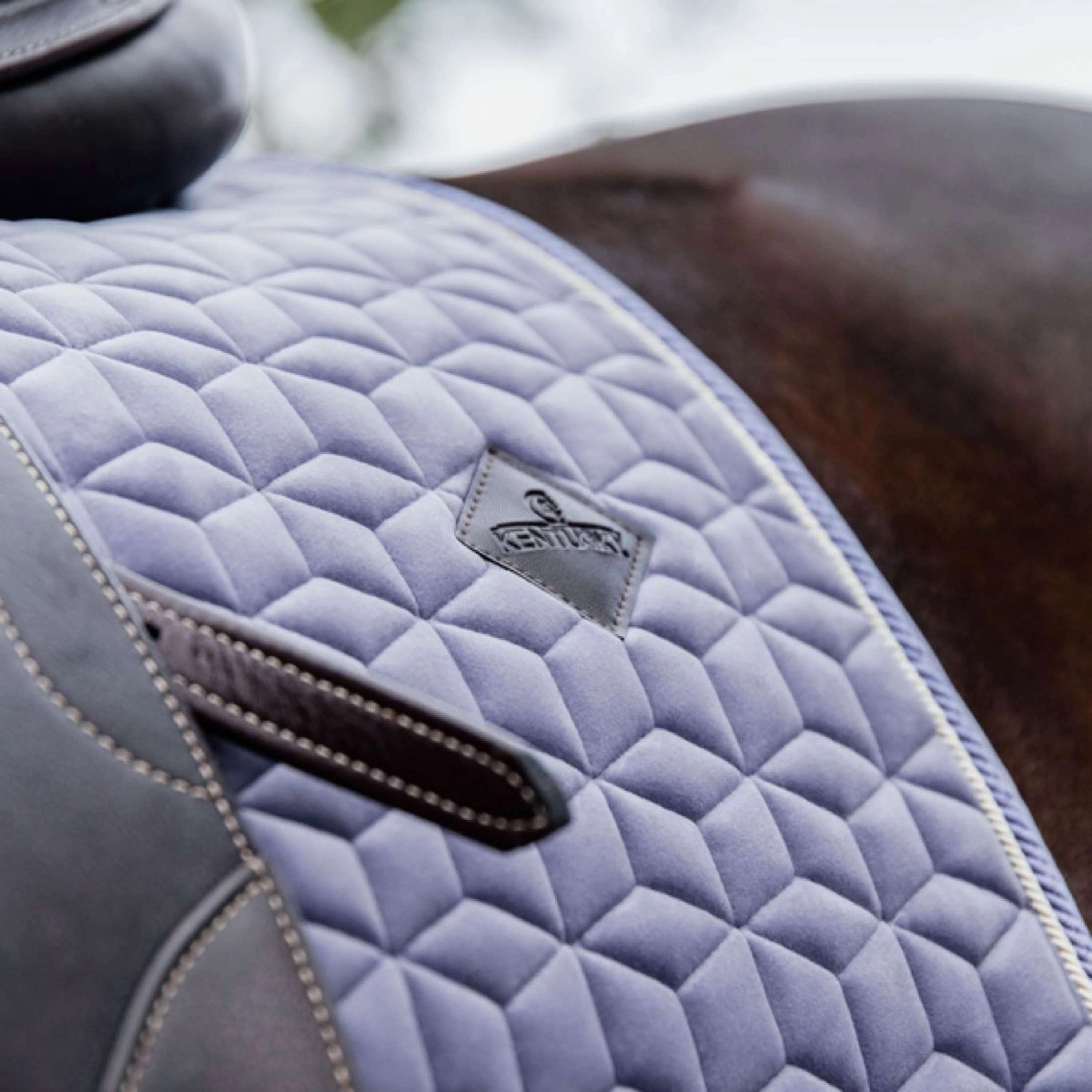 Kentucky Horsewear Sottosella Viola - Image 4