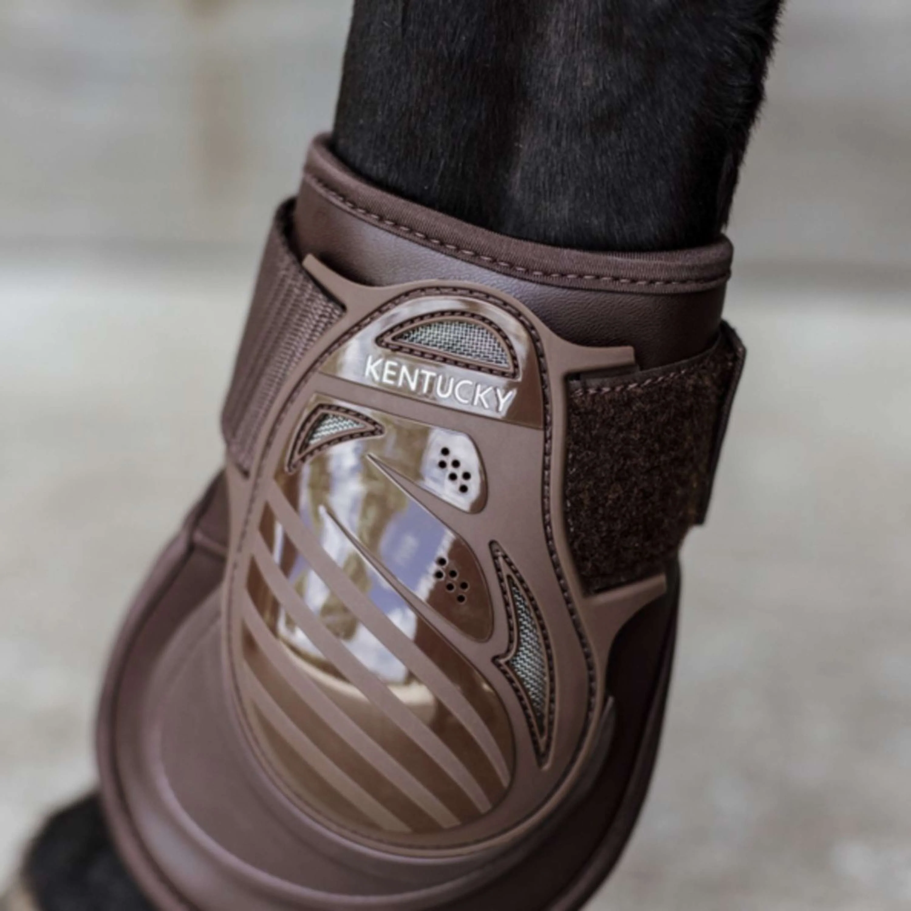 Kentucky Horsewear Stinchiere Deep Marrone - Image 2