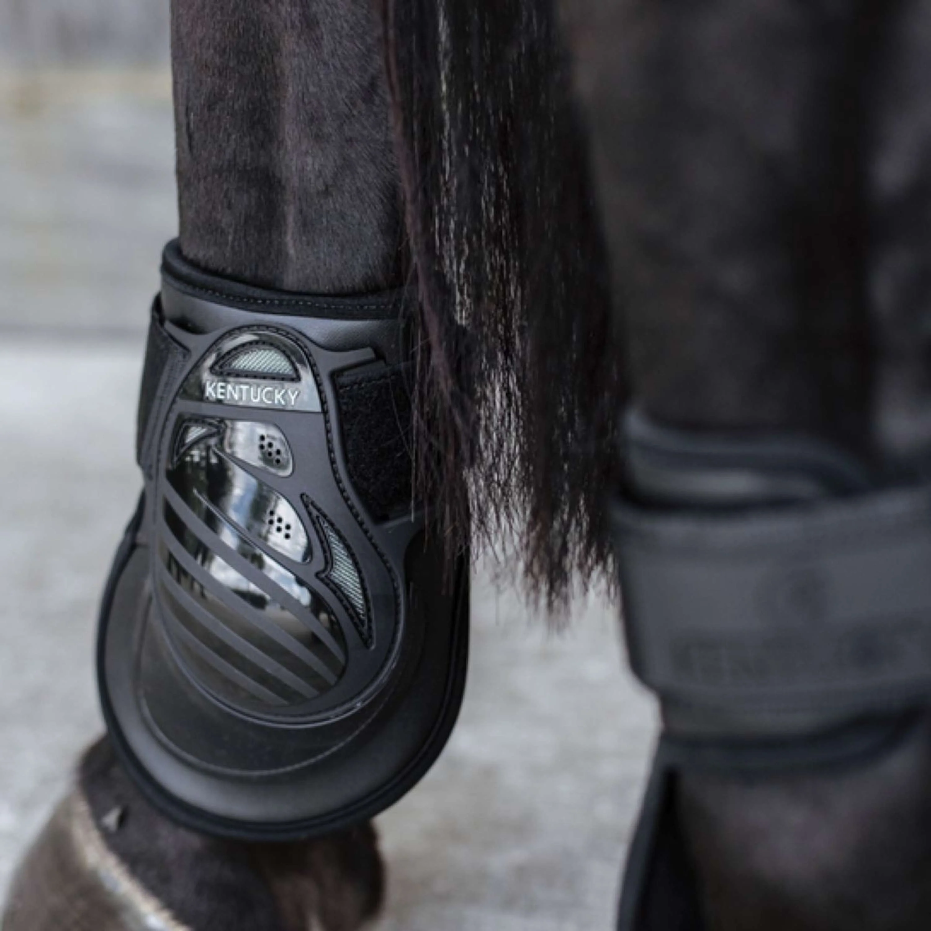 Kentucky Horsewear Stinchiere Deep Nero