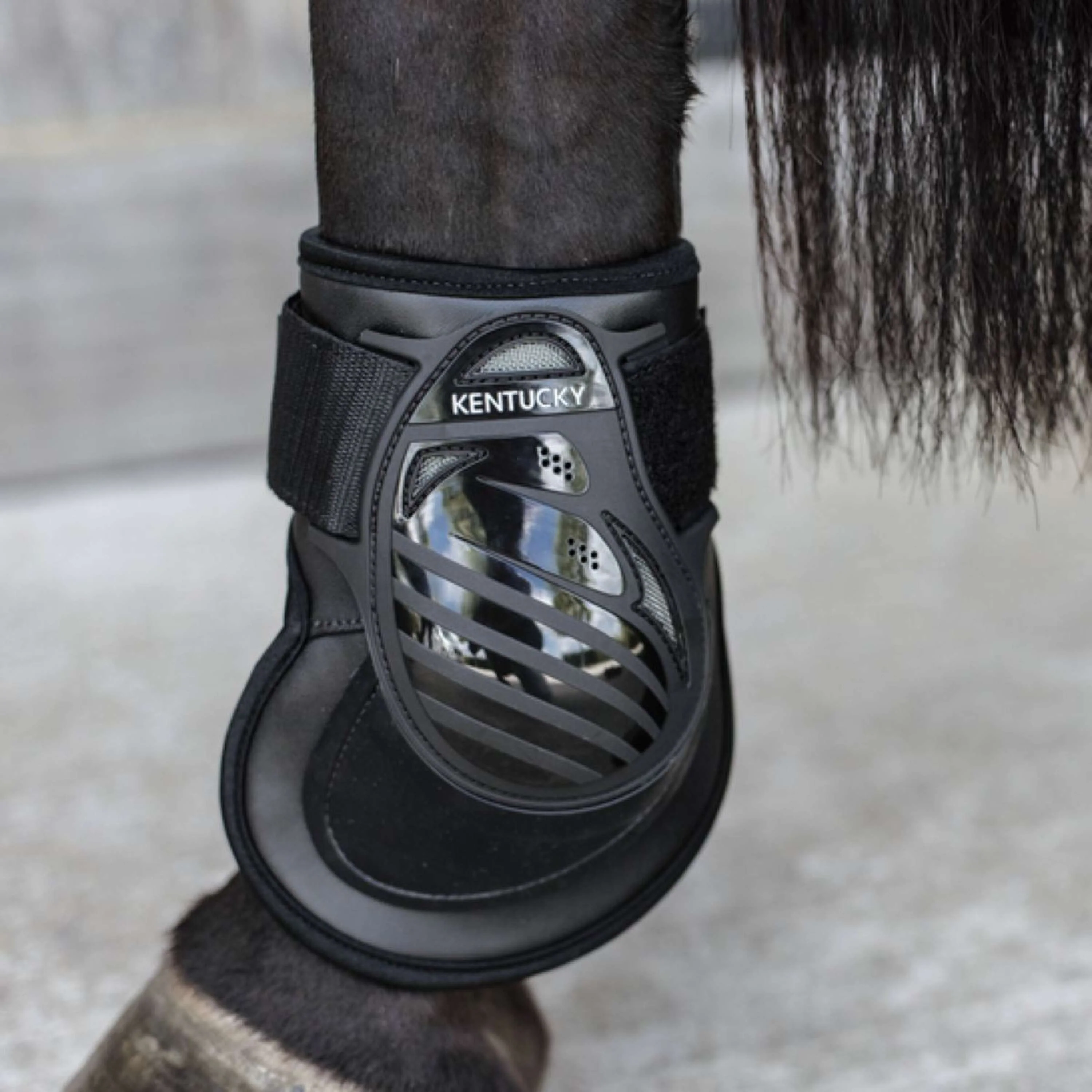 Kentucky Horsewear Stinchiere Deep Nero - Image 2