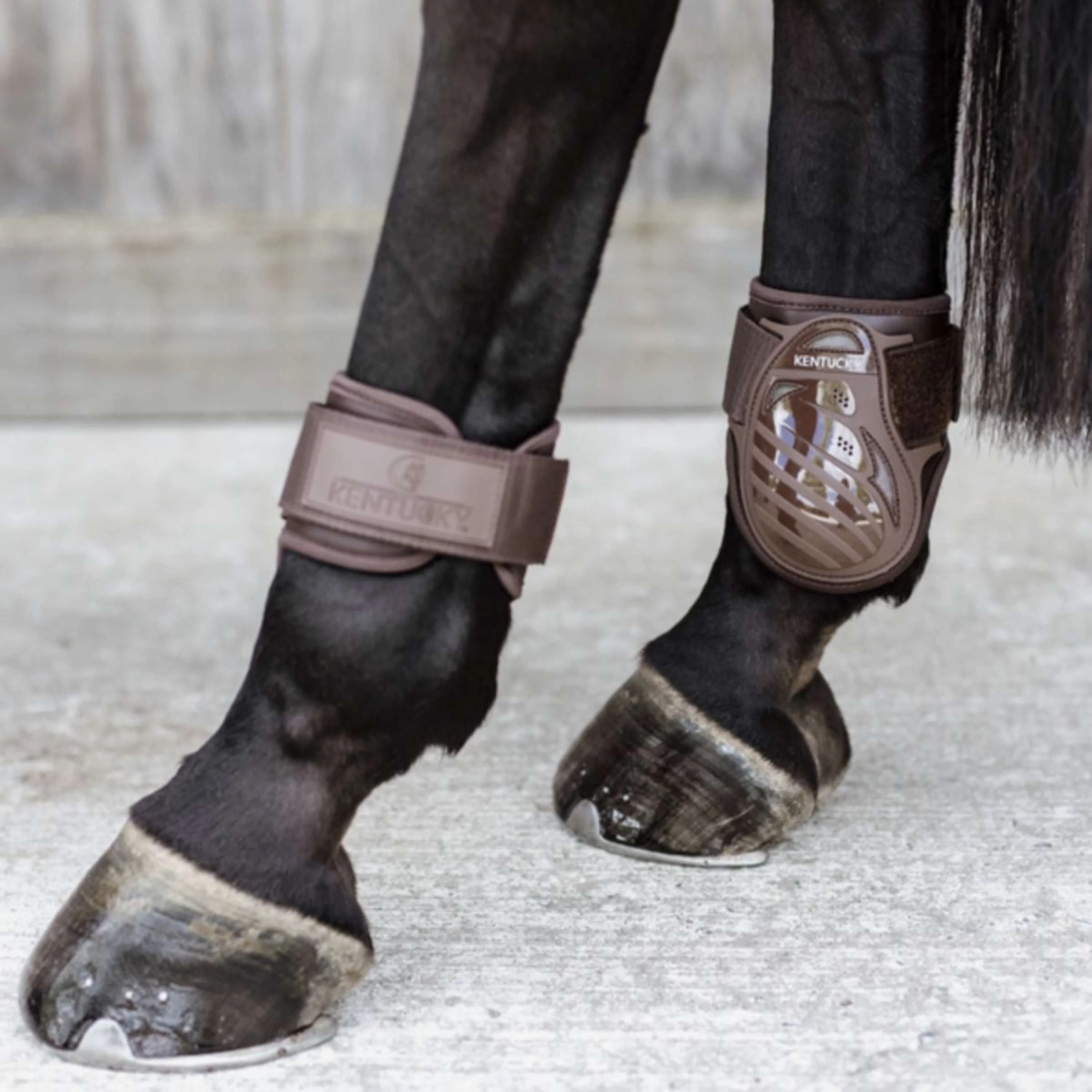 Kentucky Horsewear Stinchiere Young Horse Marrone - Image 4