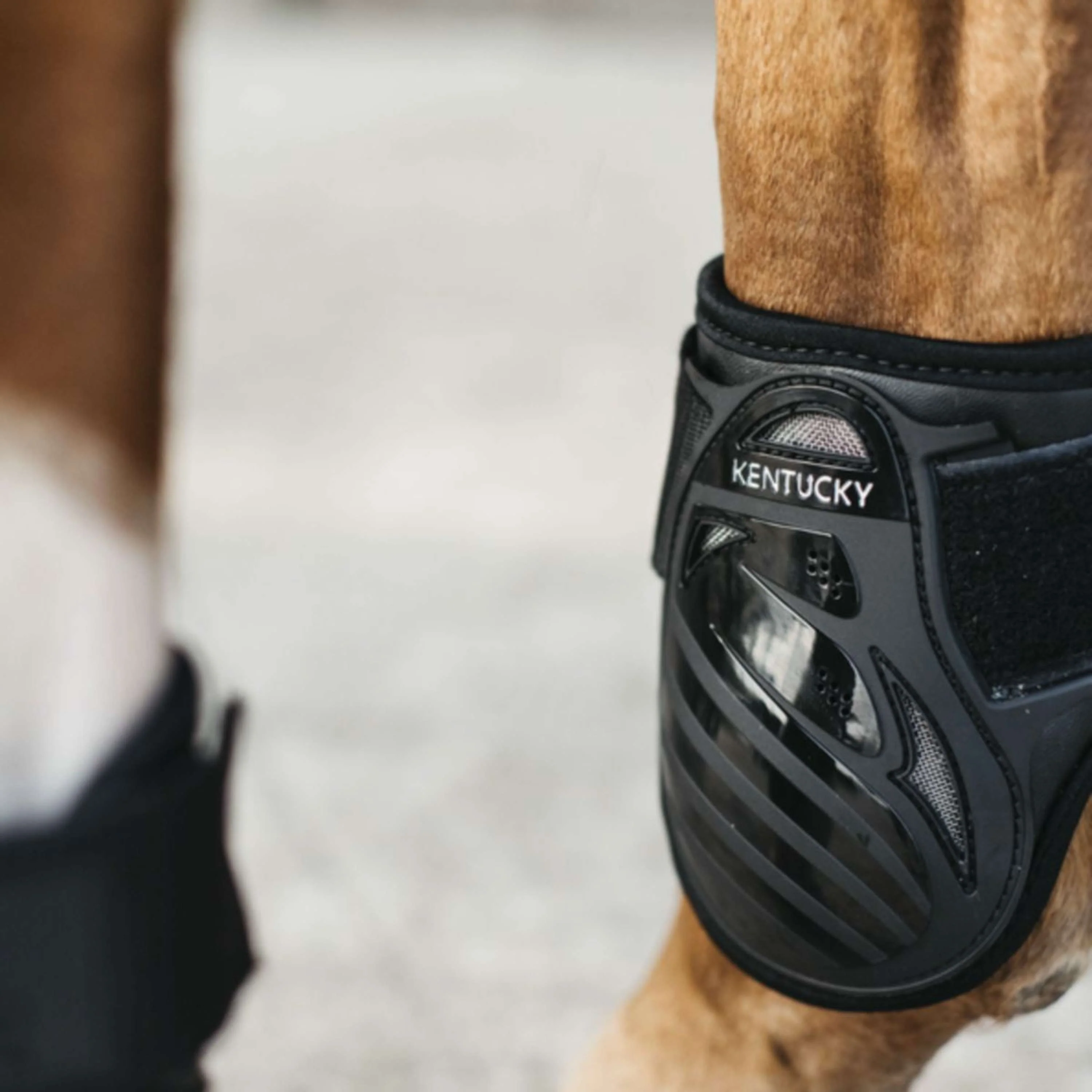 Kentucky Horsewear Stinchiere Young Horse Nero - Image 6