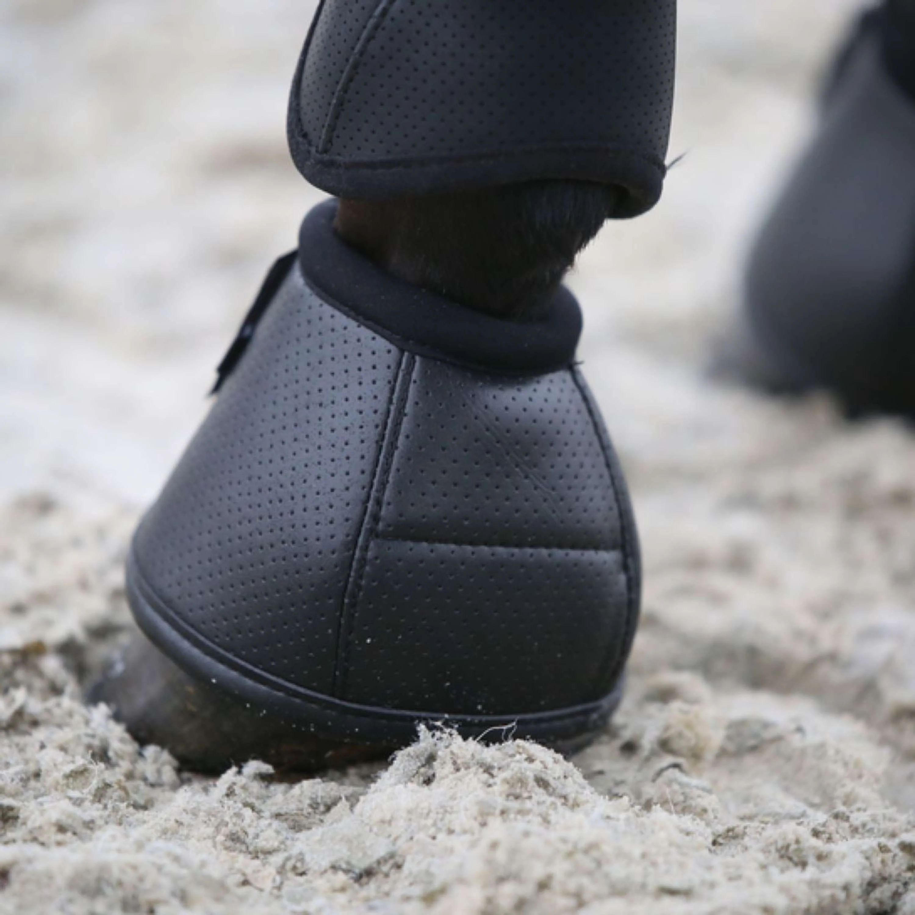 Kentucky Horsewear Stivaletti a Campana Air Tech Nero - Image 2
