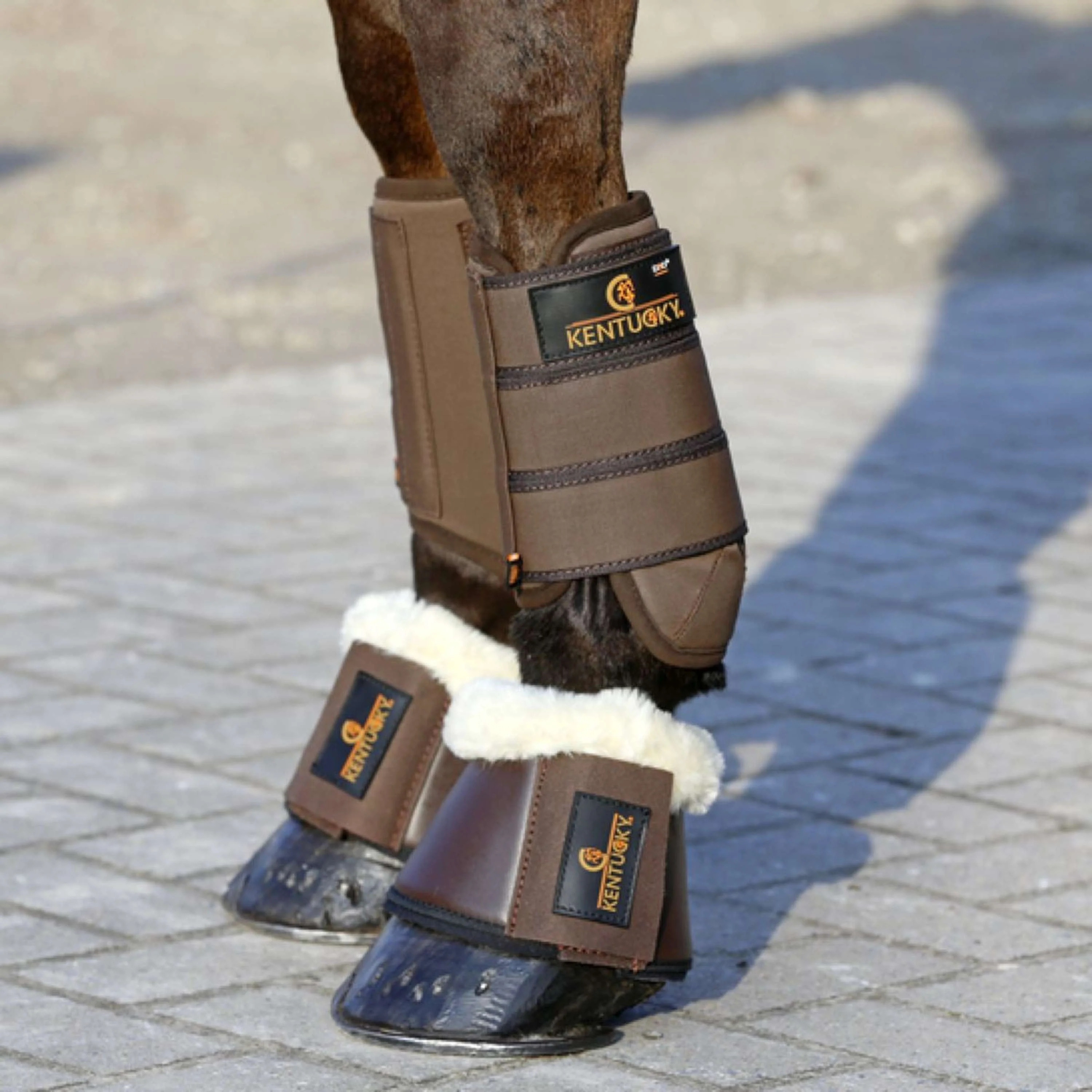 Kentucky Horsewear Stivaletti a Campana Marrone