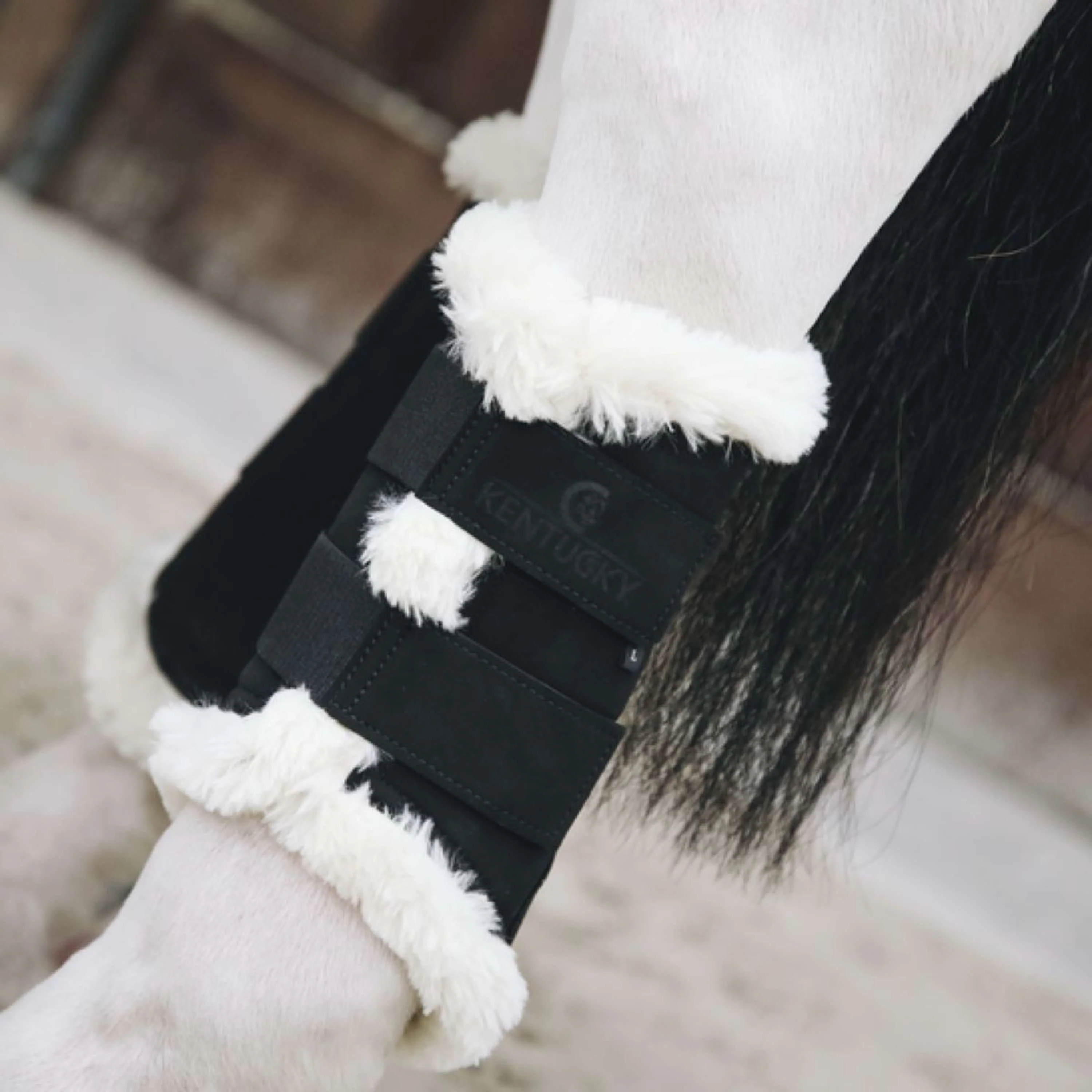 Kentucky Horsewear Stivali per l'affluenza alle urne Air Nero - Image 2