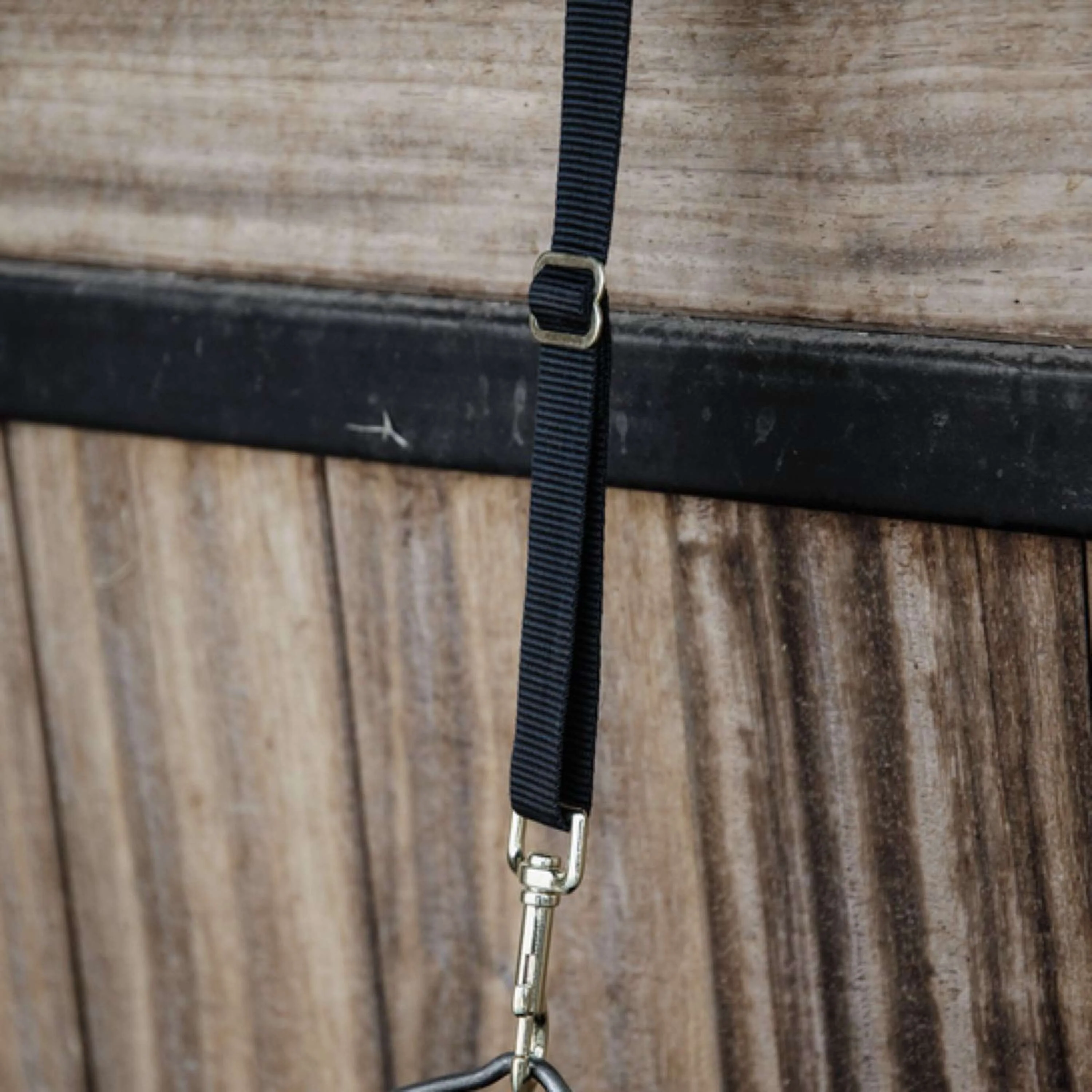 Kentucky Horsewear Supporto in nylon Nero - Image 2
