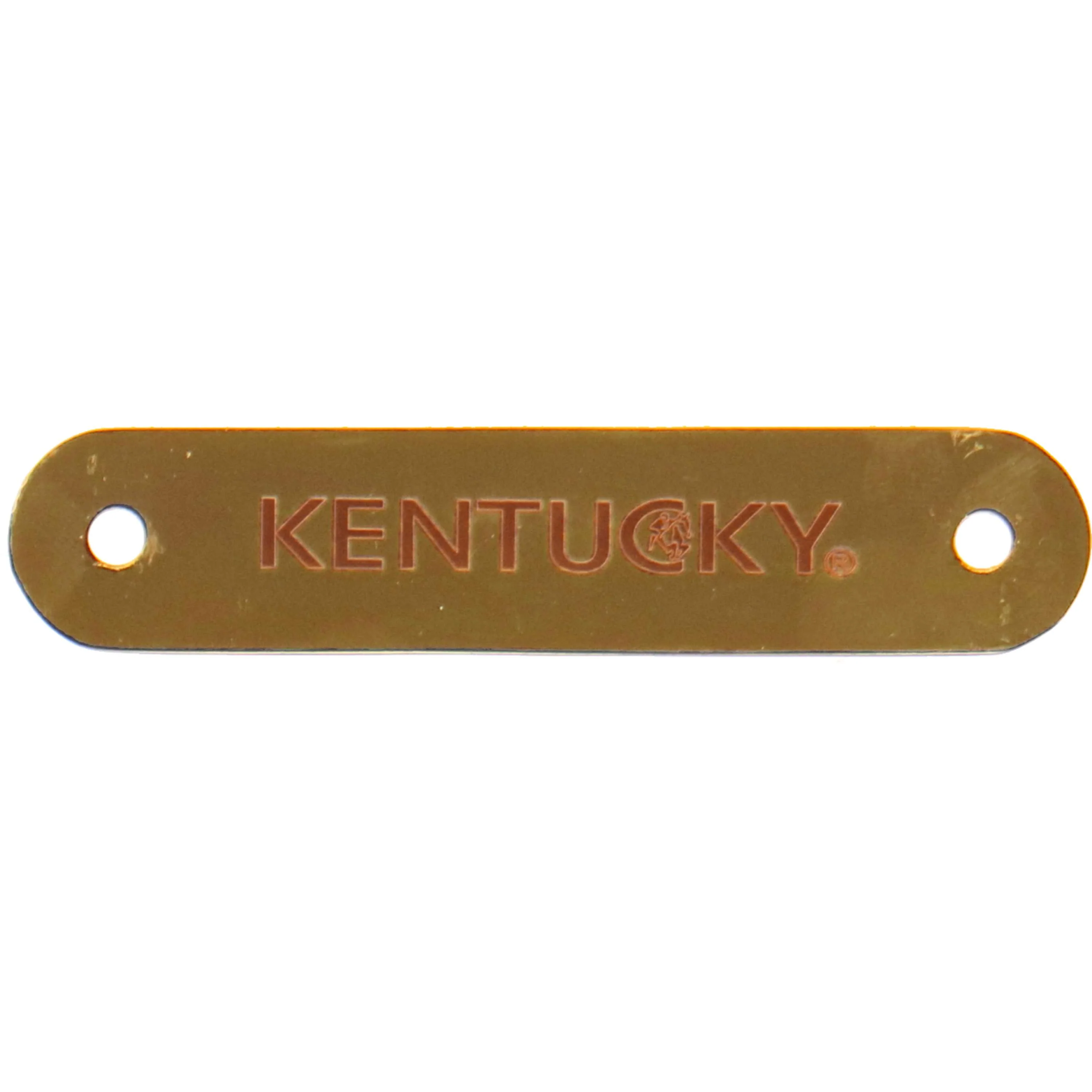 Kentucky Horsewear Targhetta Nome per il capezzone Gold - Image 2