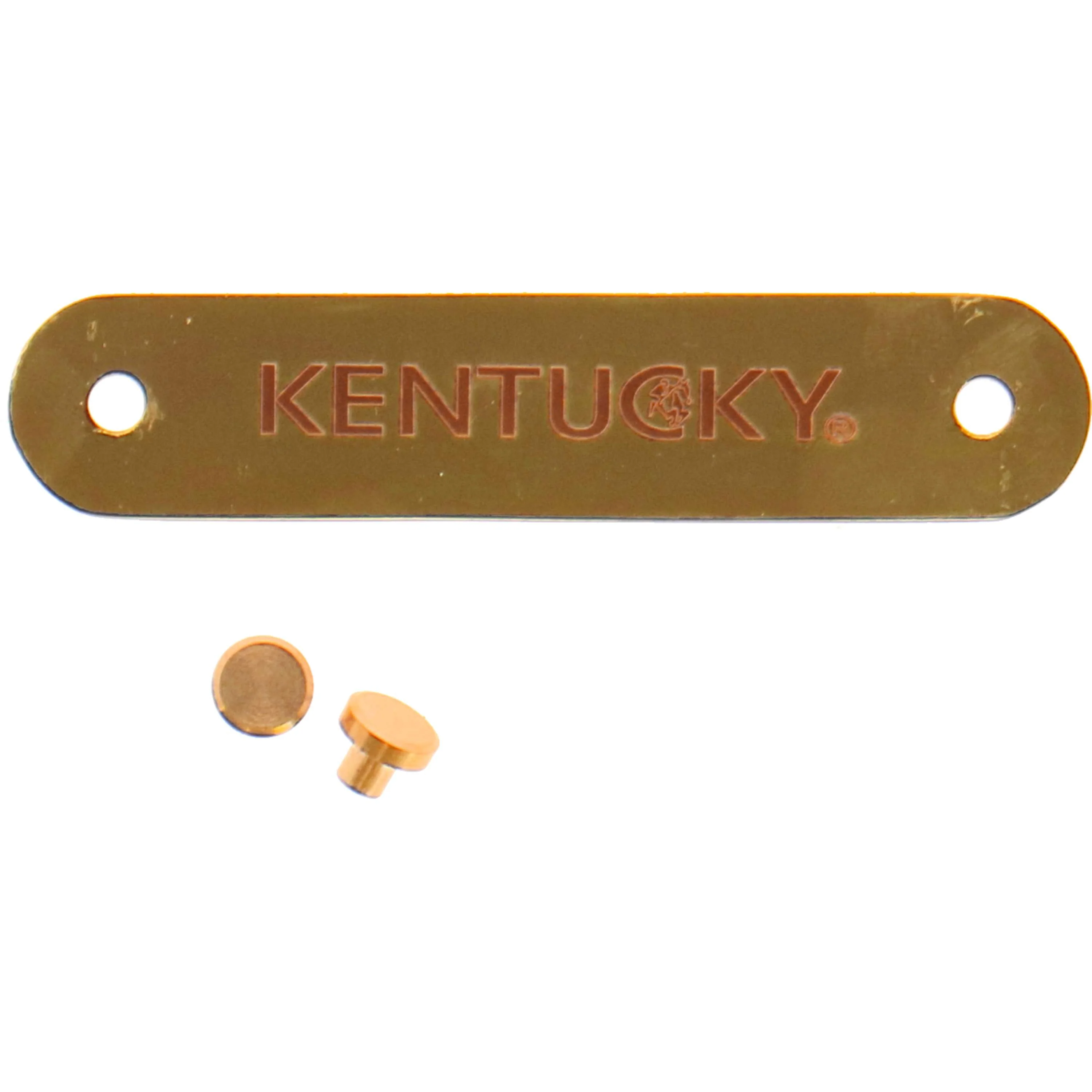 Kentucky Horsewear Targhetta Nome per il capezzone Gold - Image 3