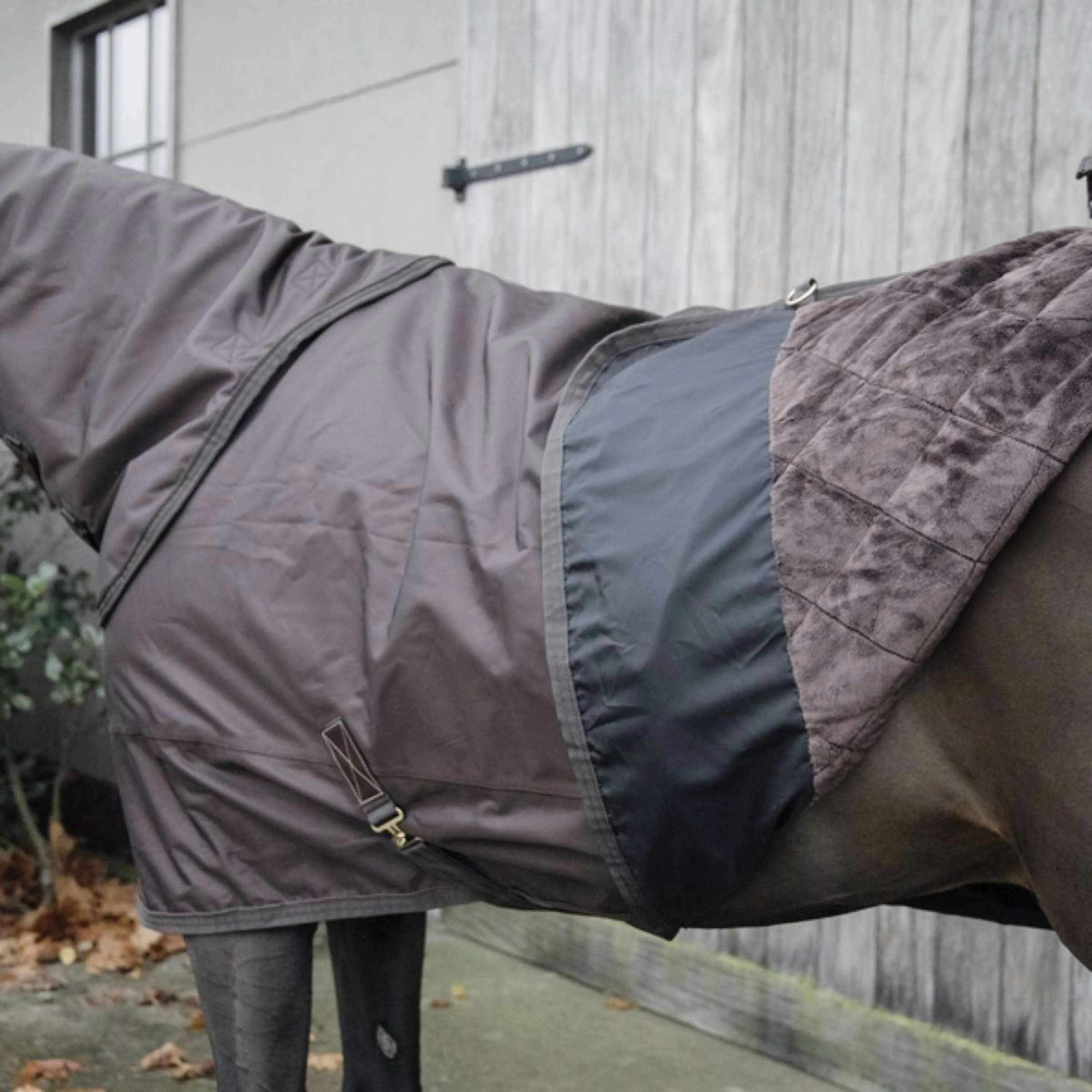 Kentucky Horsewear Turnout All Weather 160g Marrone - Image 4