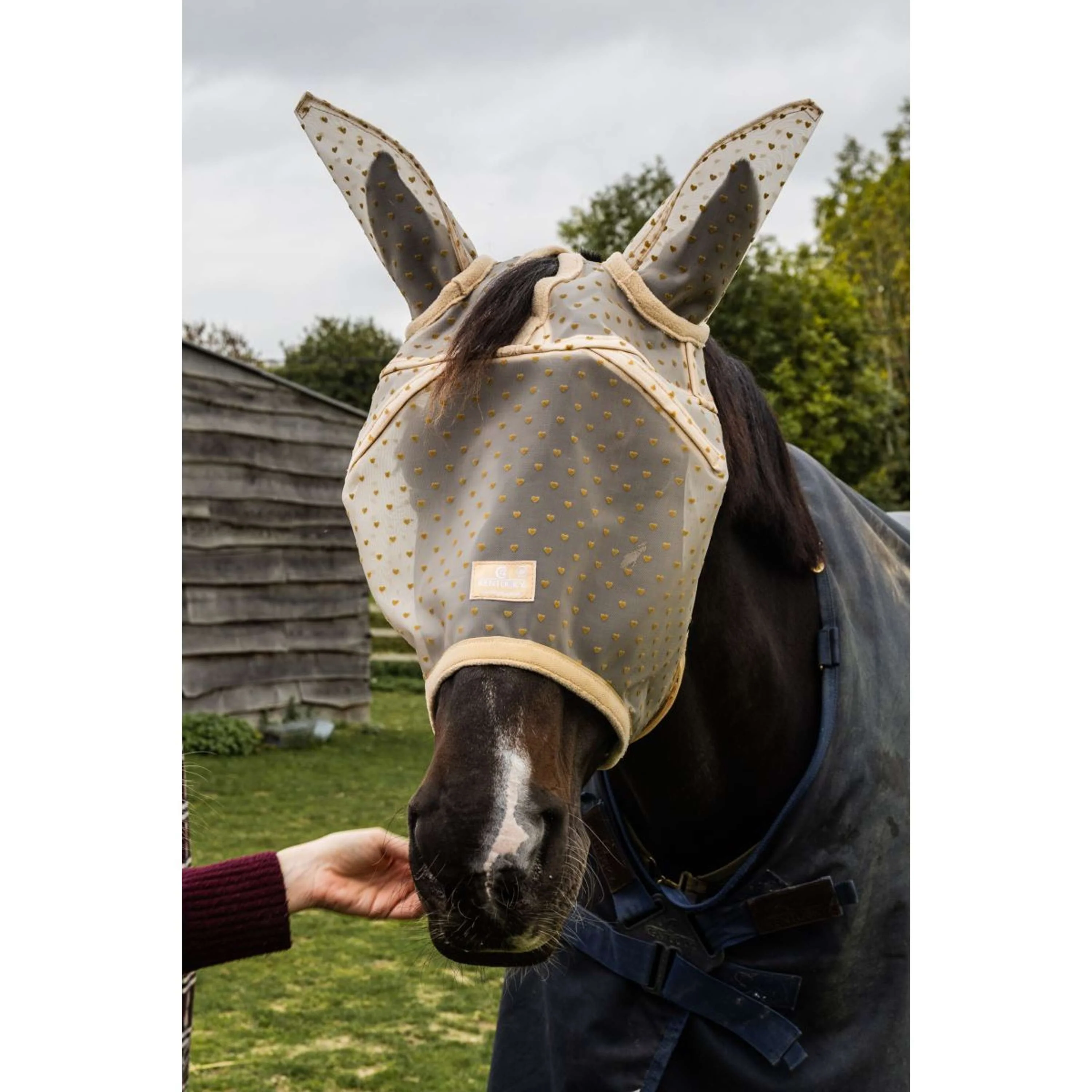 Kentucky Maschera per Mosche Heart con Orecchie e Naso Beige - Image 4
