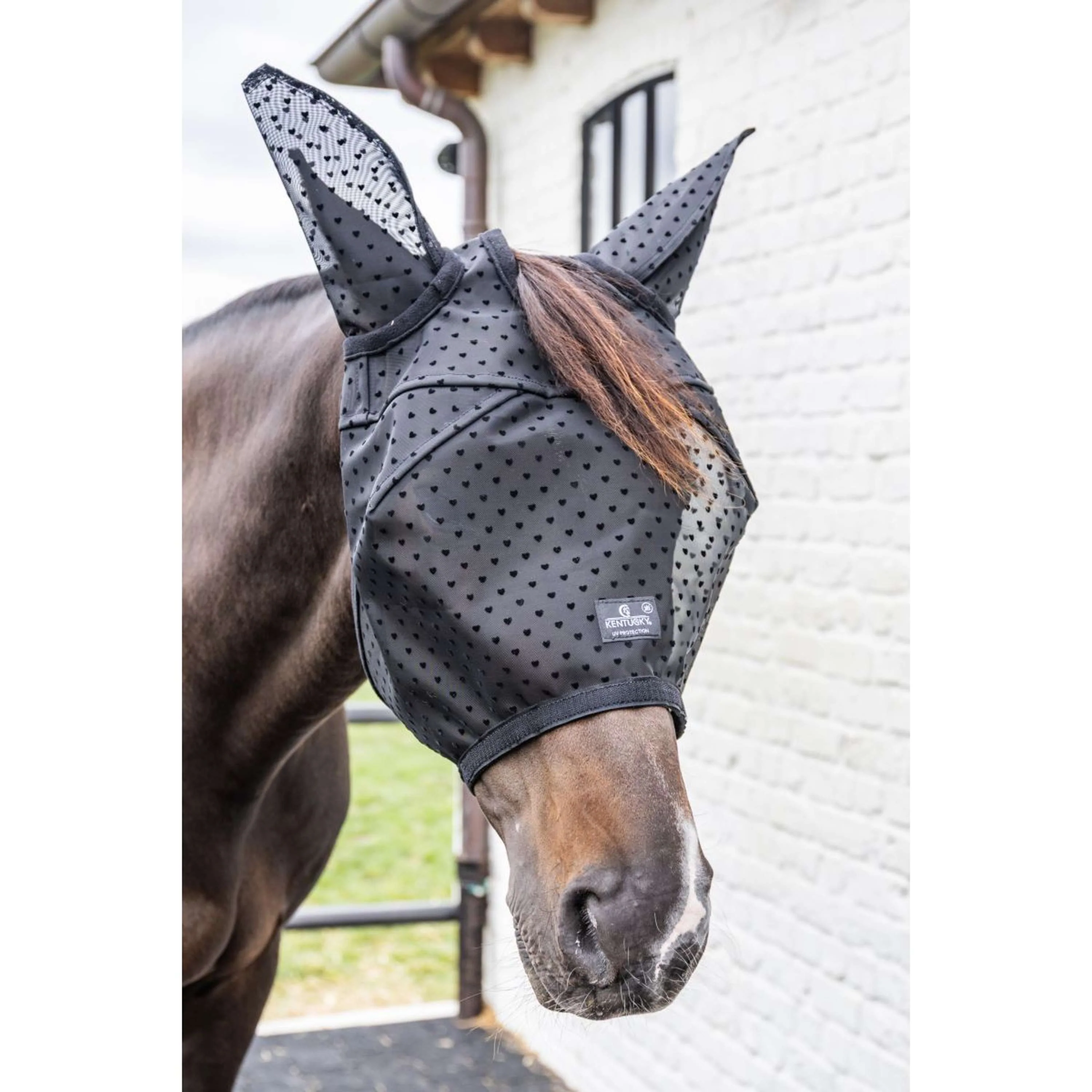 Kentucky Maschera per Mosche Heart con Orecchie e Naso Nero - Image 2