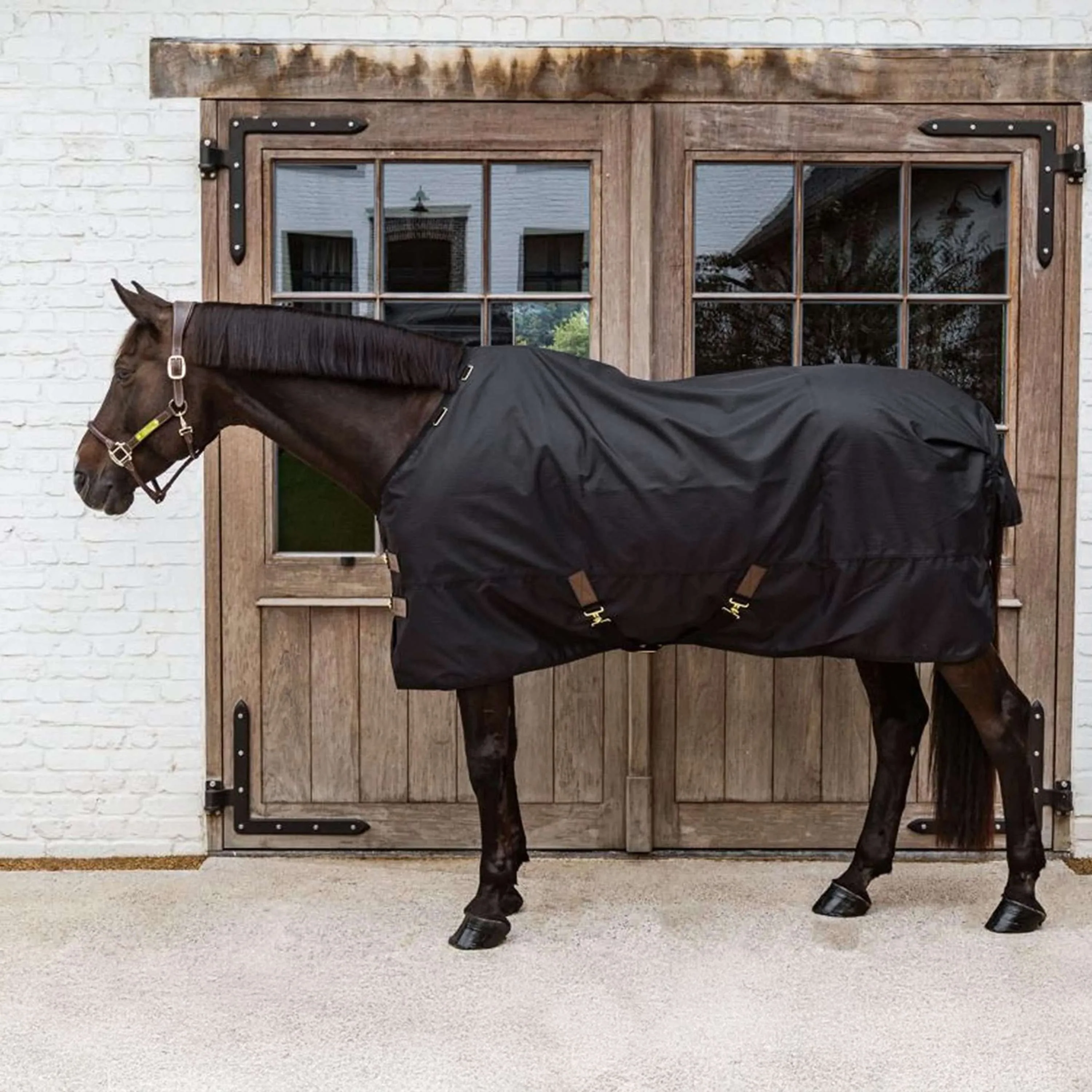 Kentucky Ritorno dell'affluenza alle urne All Weather Waterproof Classic 150g Nero