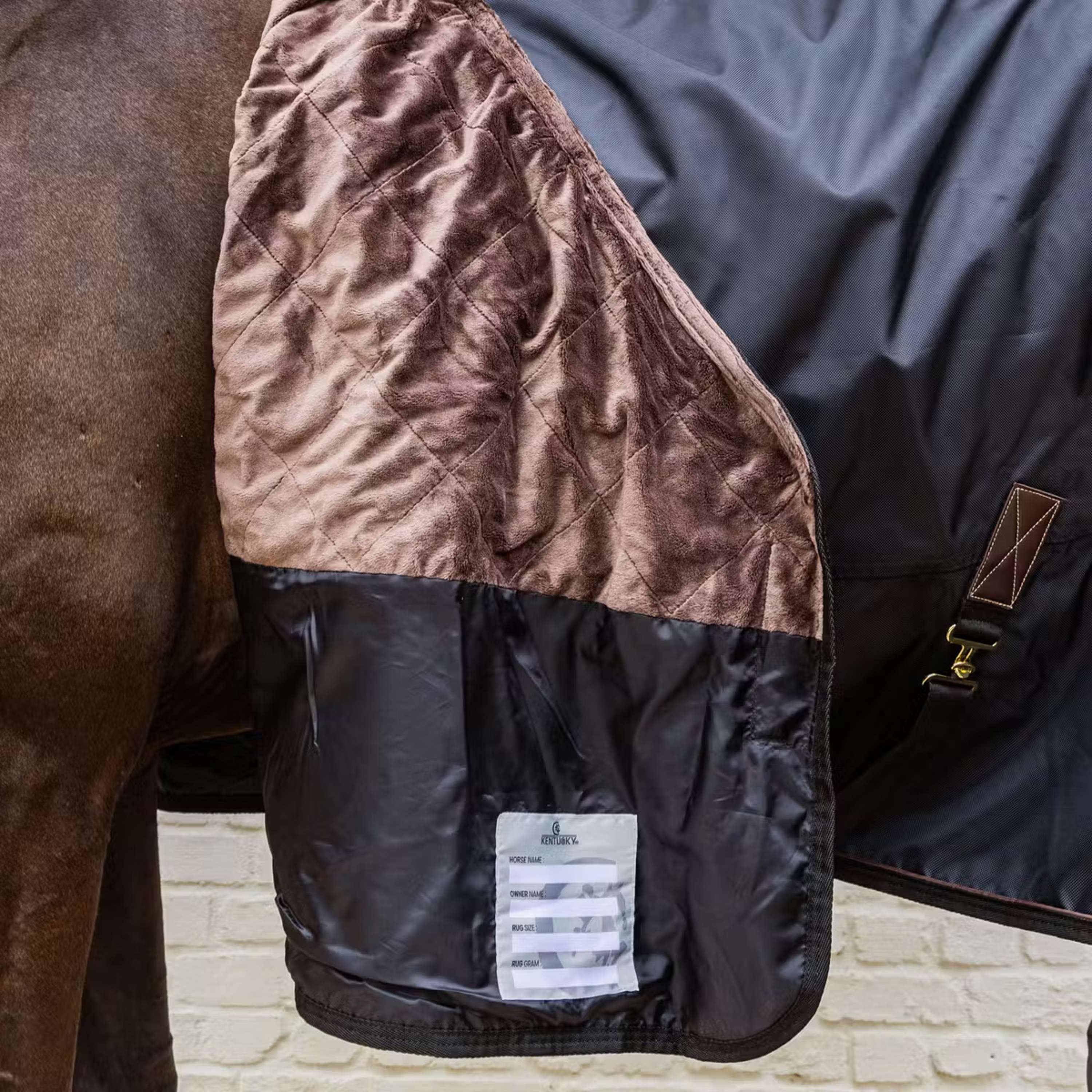 Kentucky Ritorno dell'affluenza alle urne All Weather Waterproof Pro 0g Nero - Image 5