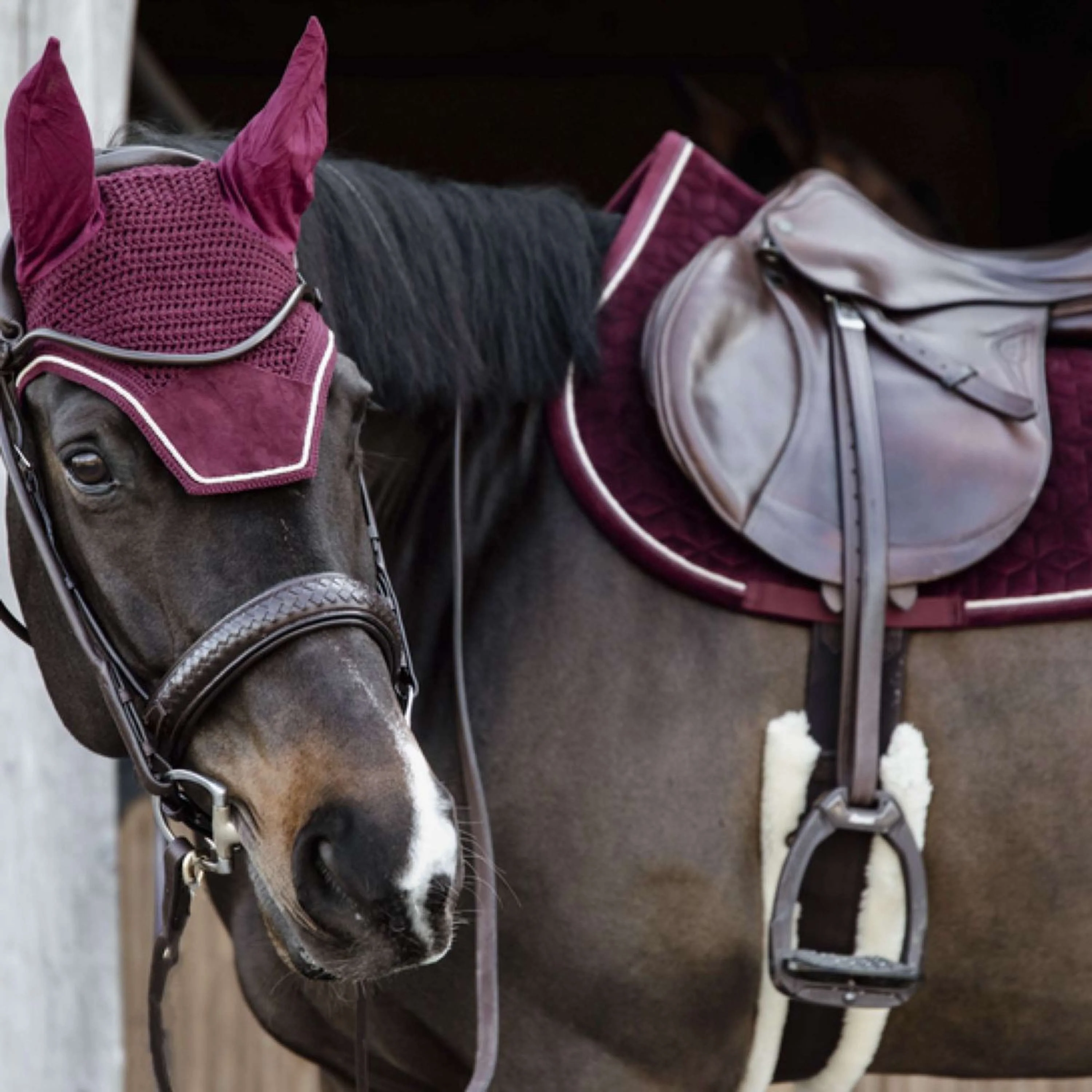 Kentucky Horsewear Sottosella Velvet Saltando Bordeaux - Image 3