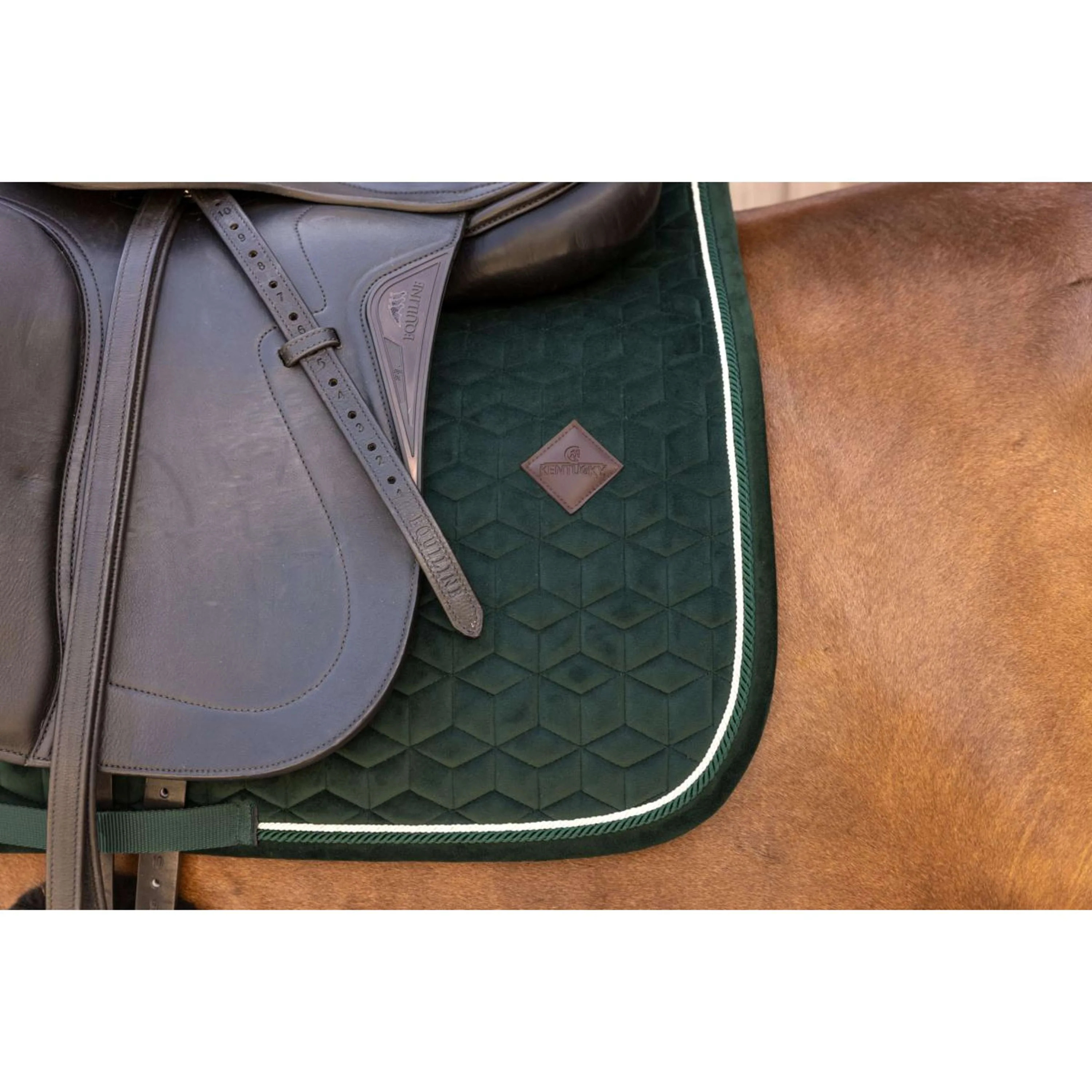 Kentucky Sottosella Velvet Dressage Pine Green - Image 4