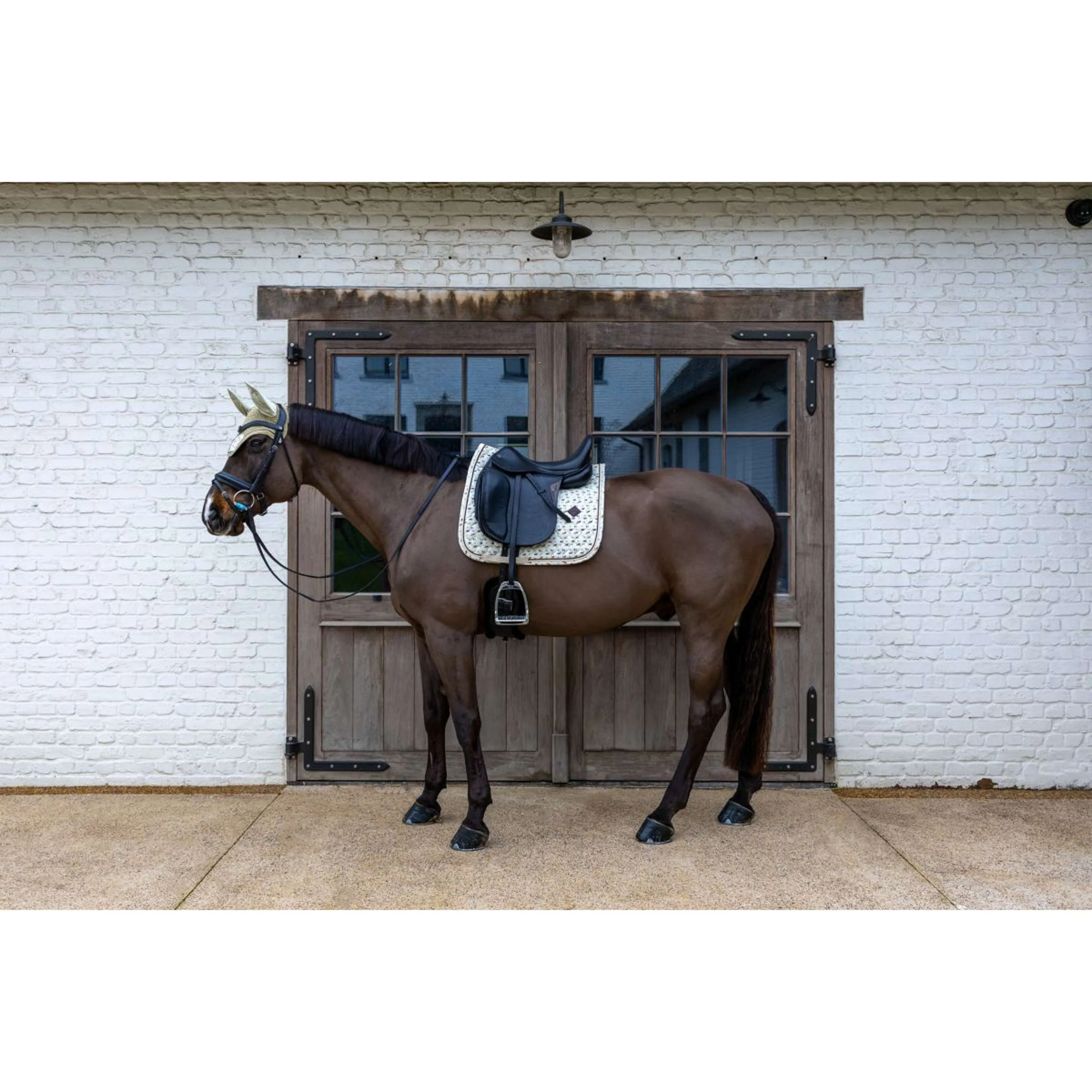 Kentucky Sottosella Velvet Horse Printing Dressage Beige - Image 3
