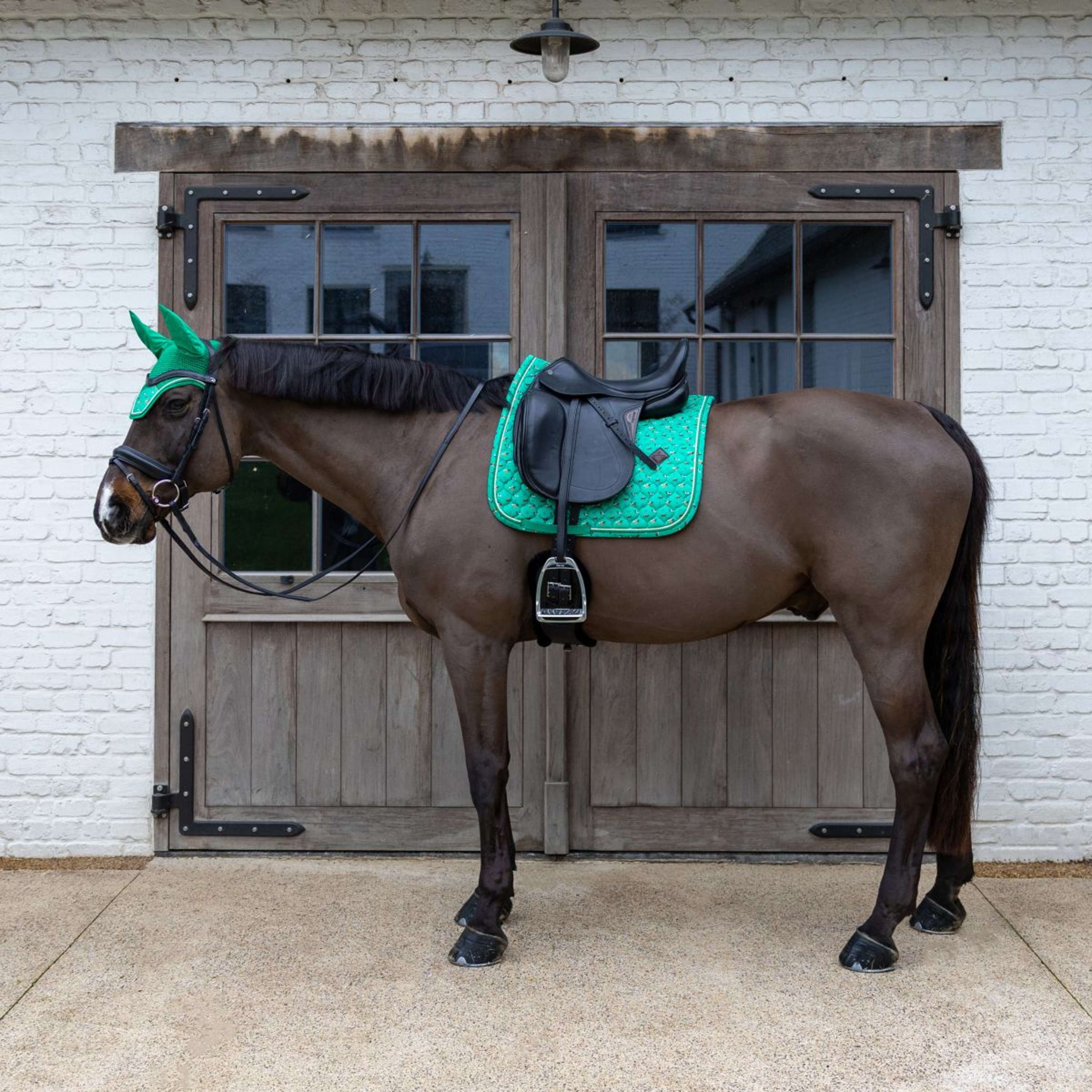 Kentucky Sottosella Velvet Horse Printing Dressage Verde - Image 4