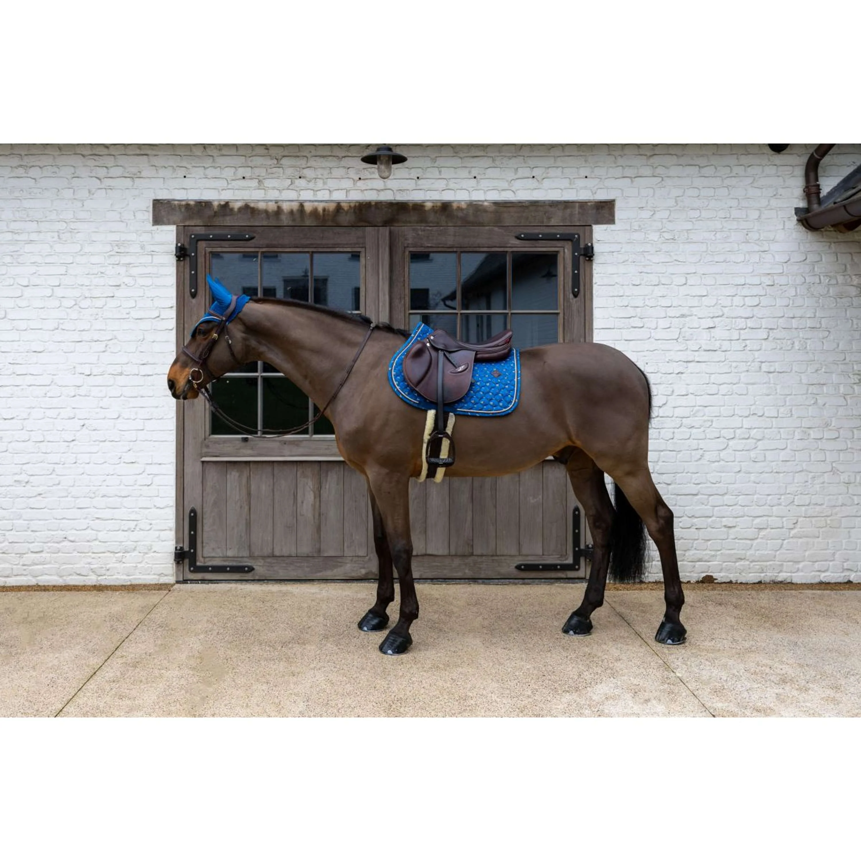 Kentucky Sottosella Velvet Horse Printing saltando Navy - Image 4