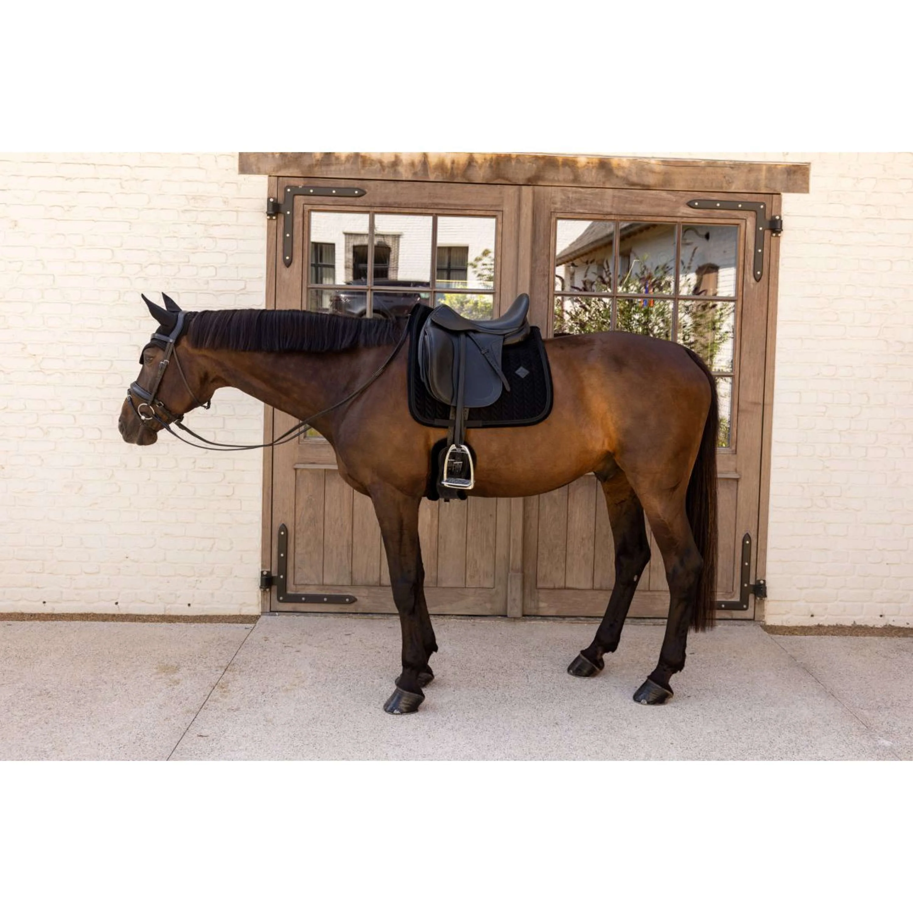 Kentucky Sottosella Velvet Mini Pearls Dressage Nero - Image 2