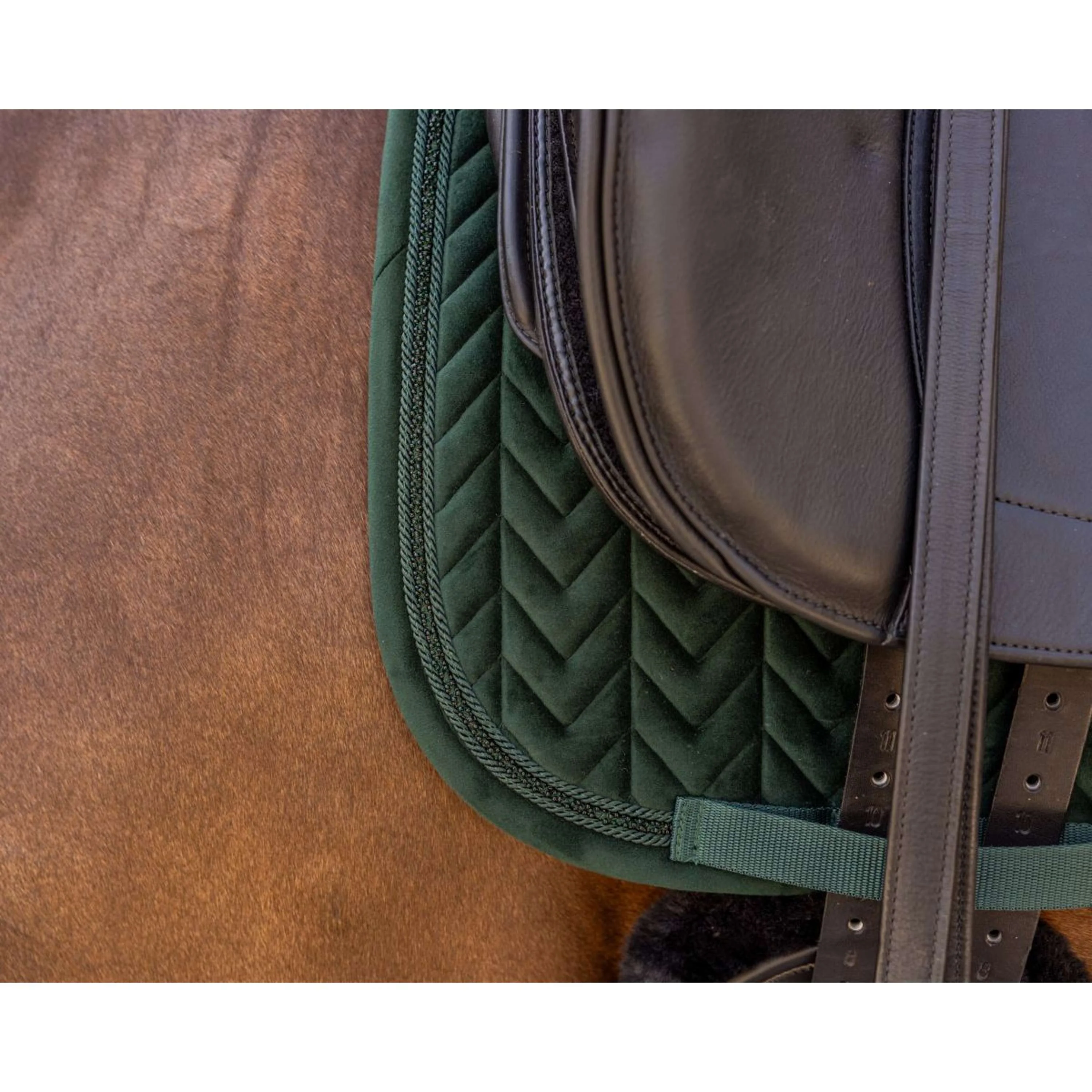 Kentucky Sottosella Velvet Mini Pearls Dressage Pine Green - Image 4