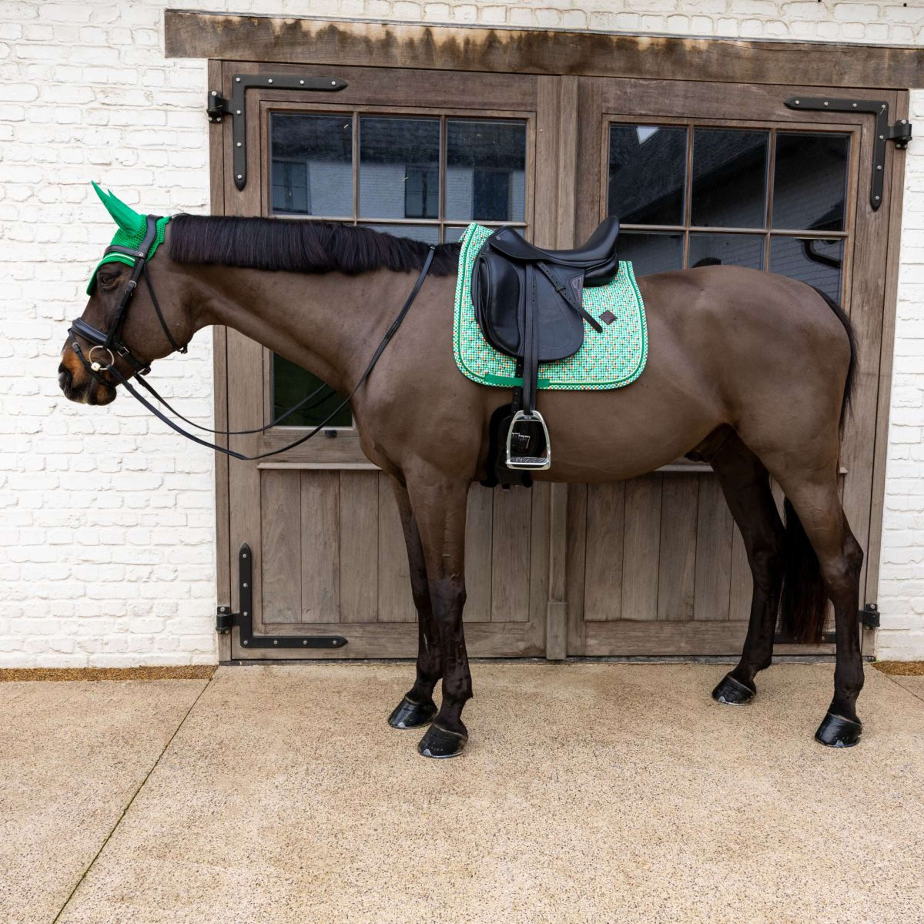 Kentucky Sottosella Velvet Pied De Poule Dressage Verde chiaro - Image 4