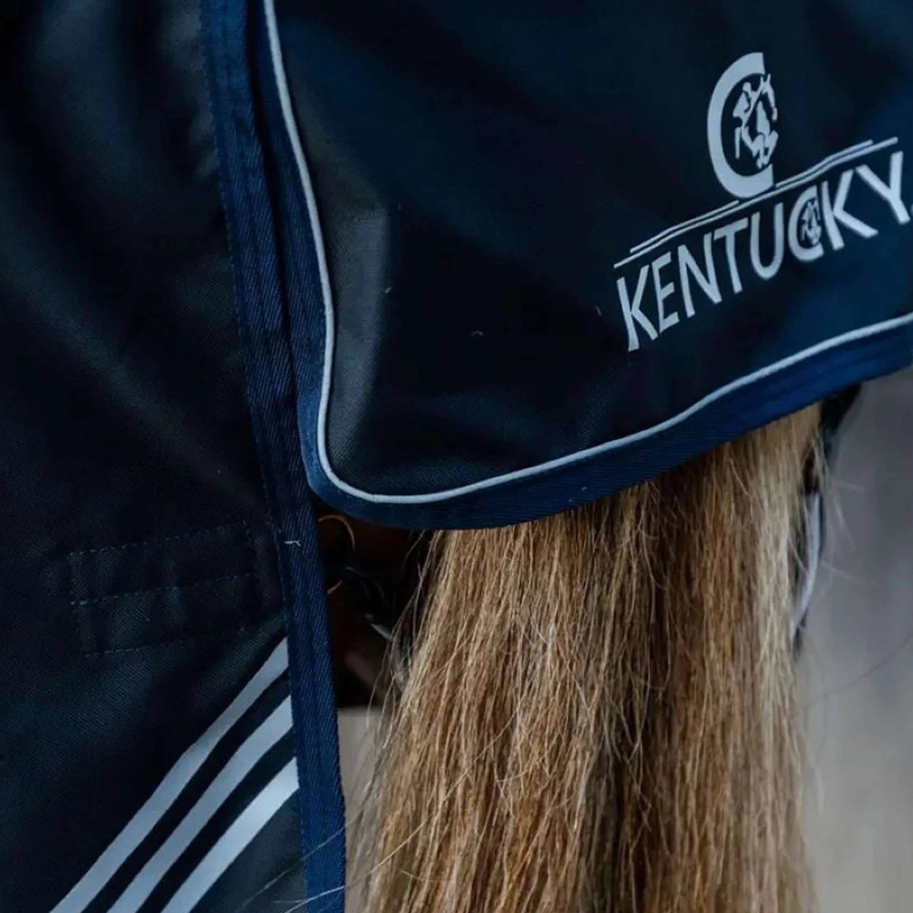 Kentucky Ritorno dell'affluenza alle urne All Weather Comfort Waterproof 100g Navy - Image 5