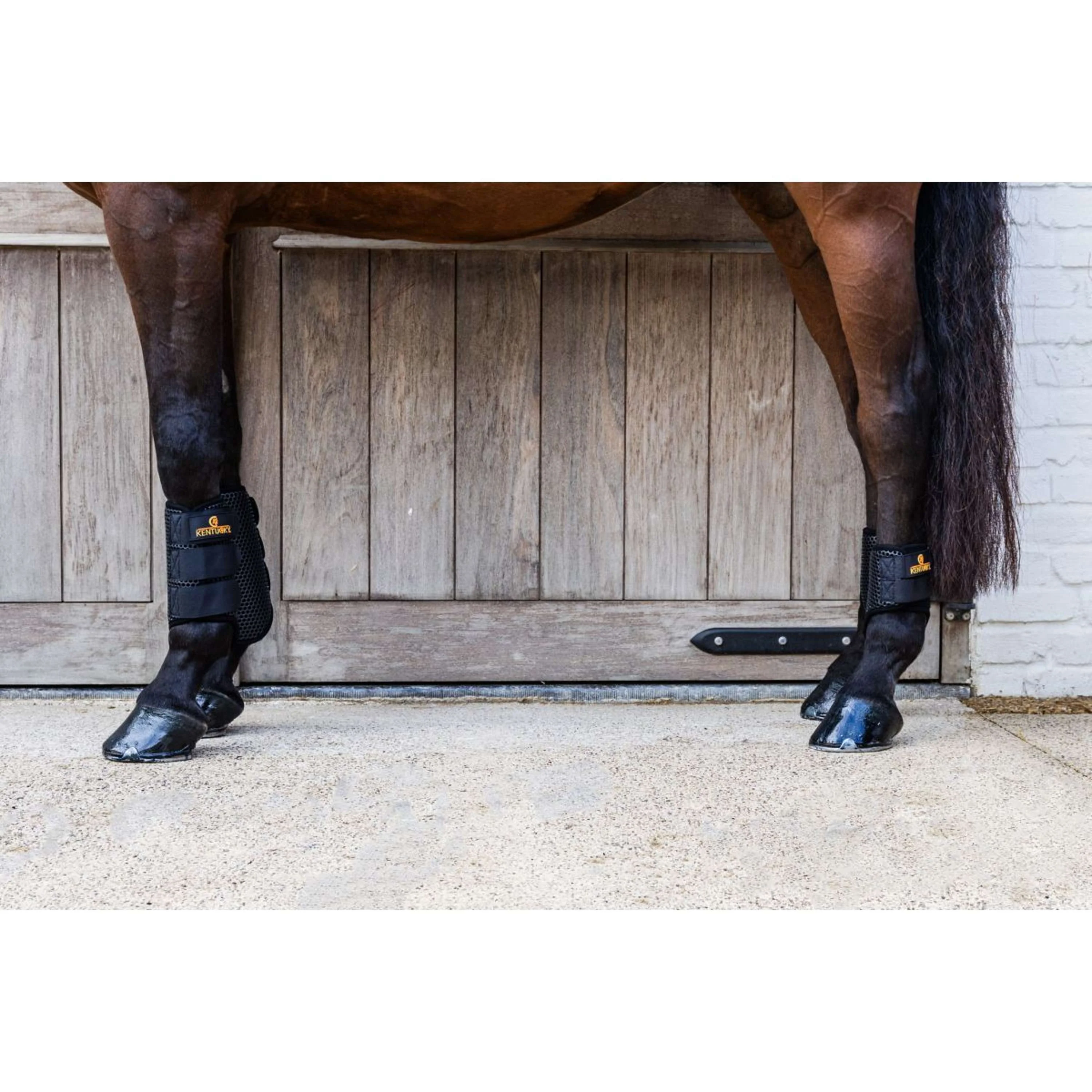 Kentucky Turnout Boots ProAIR - Image 13
