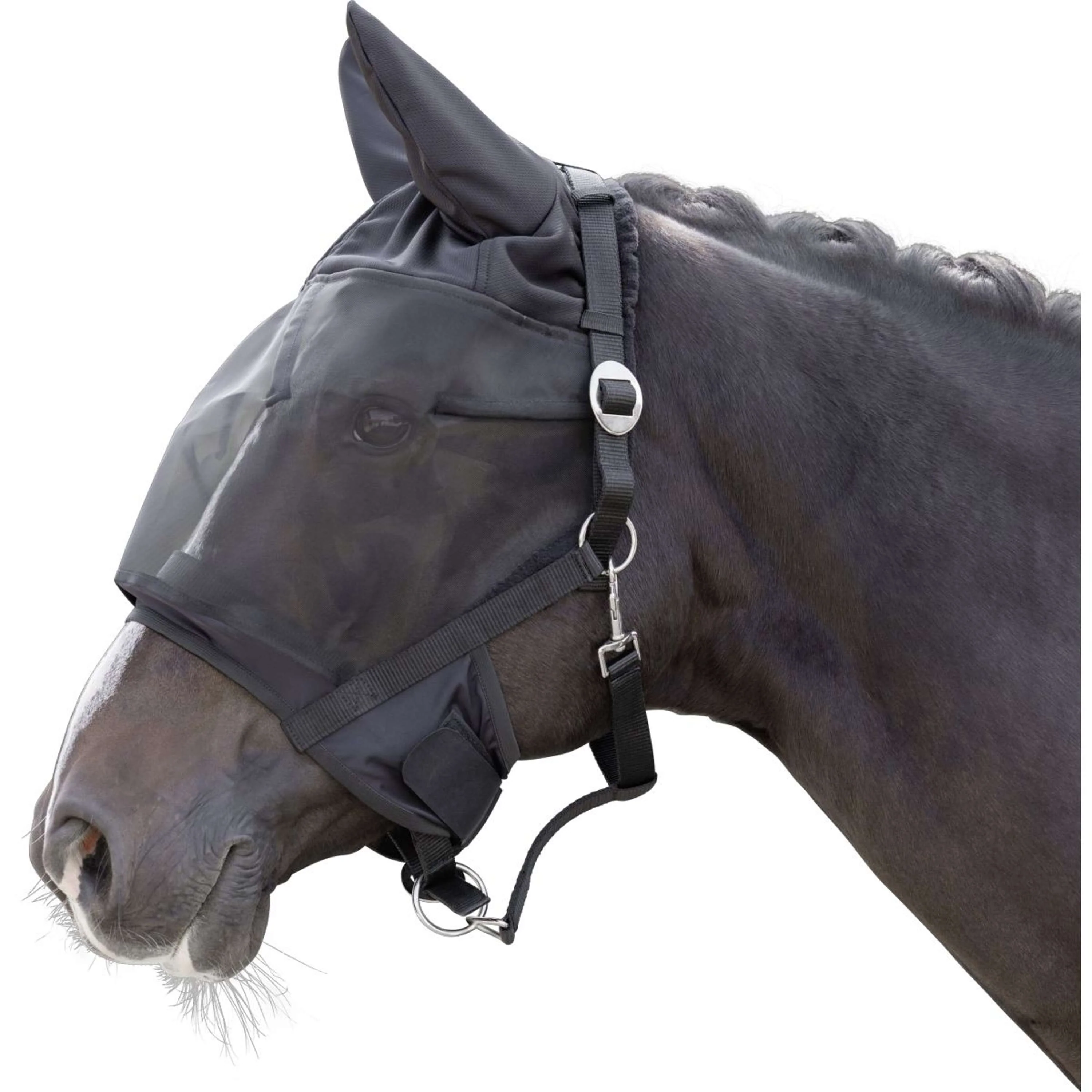 Kerbl Capezzina Nero - Image 3
