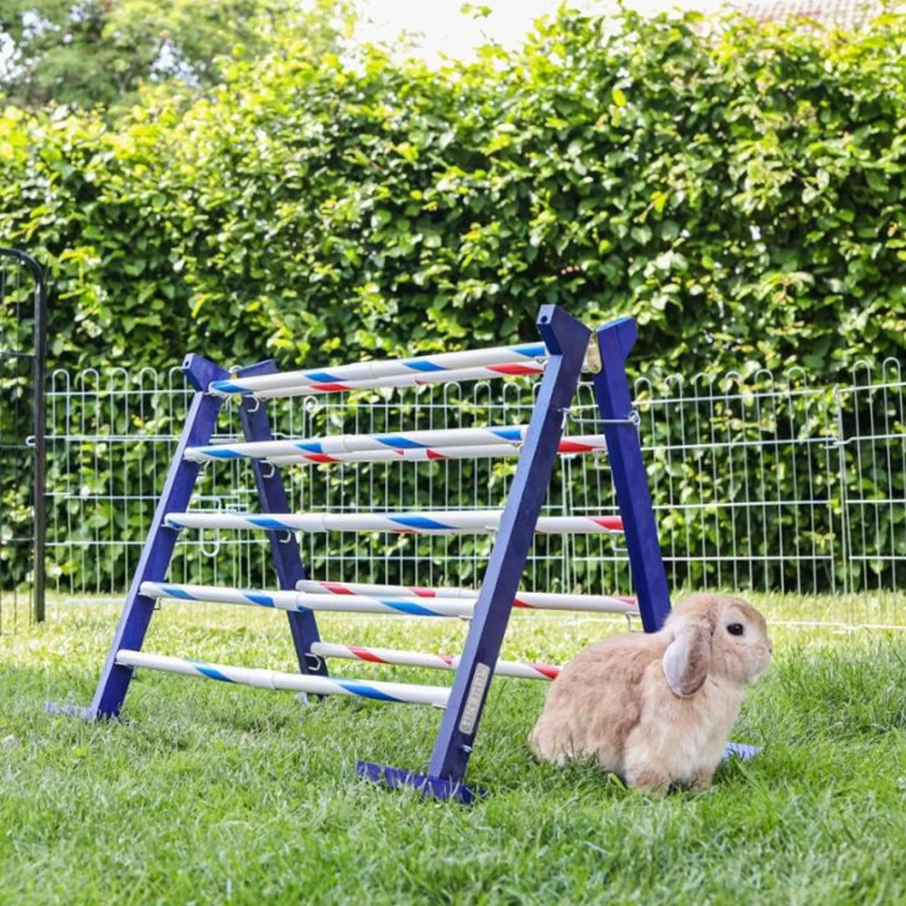 Kerbl Coniglio Hurdle Agility 2 - Image 2