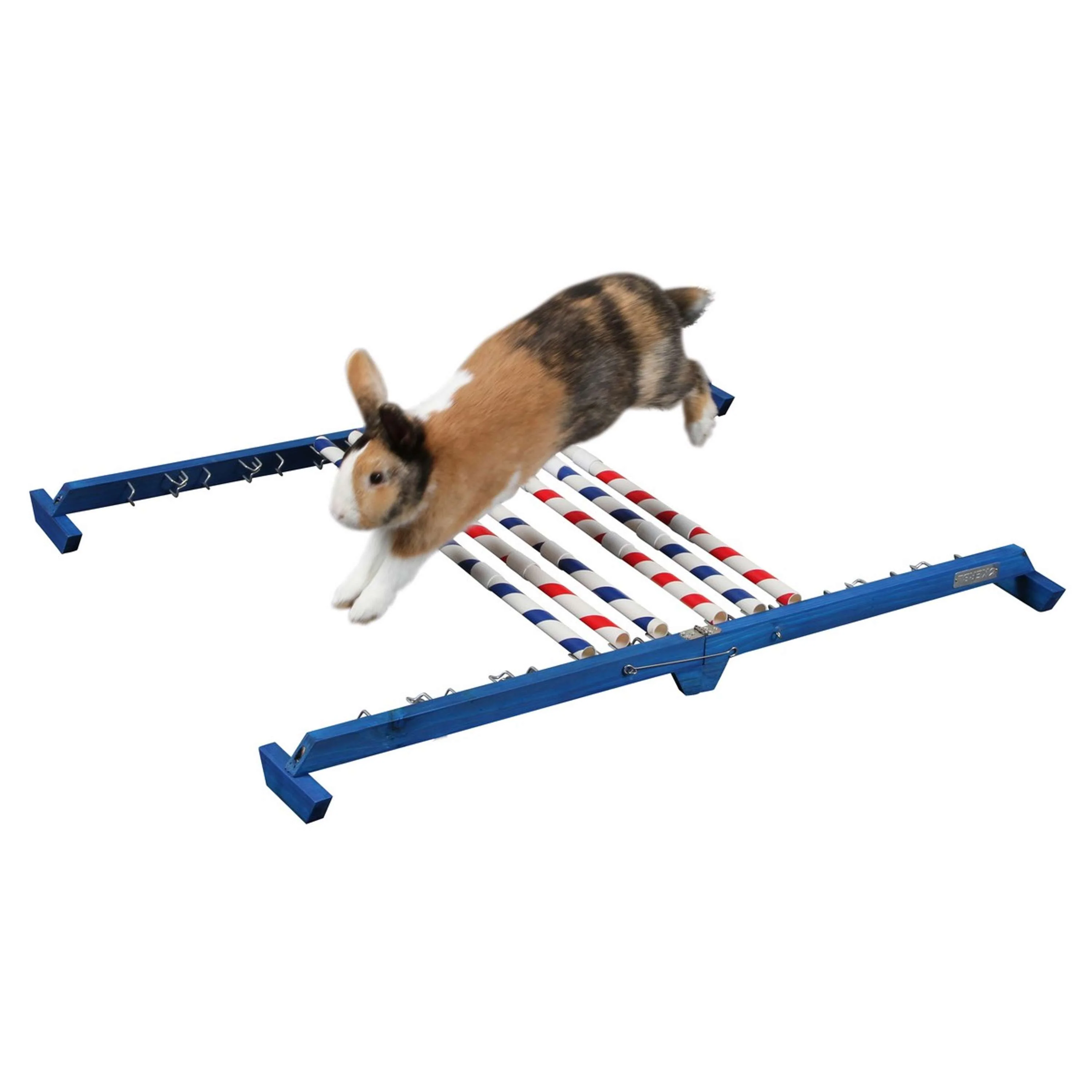 Kerbl Coniglio Hurdle Agility 2 - Image 3