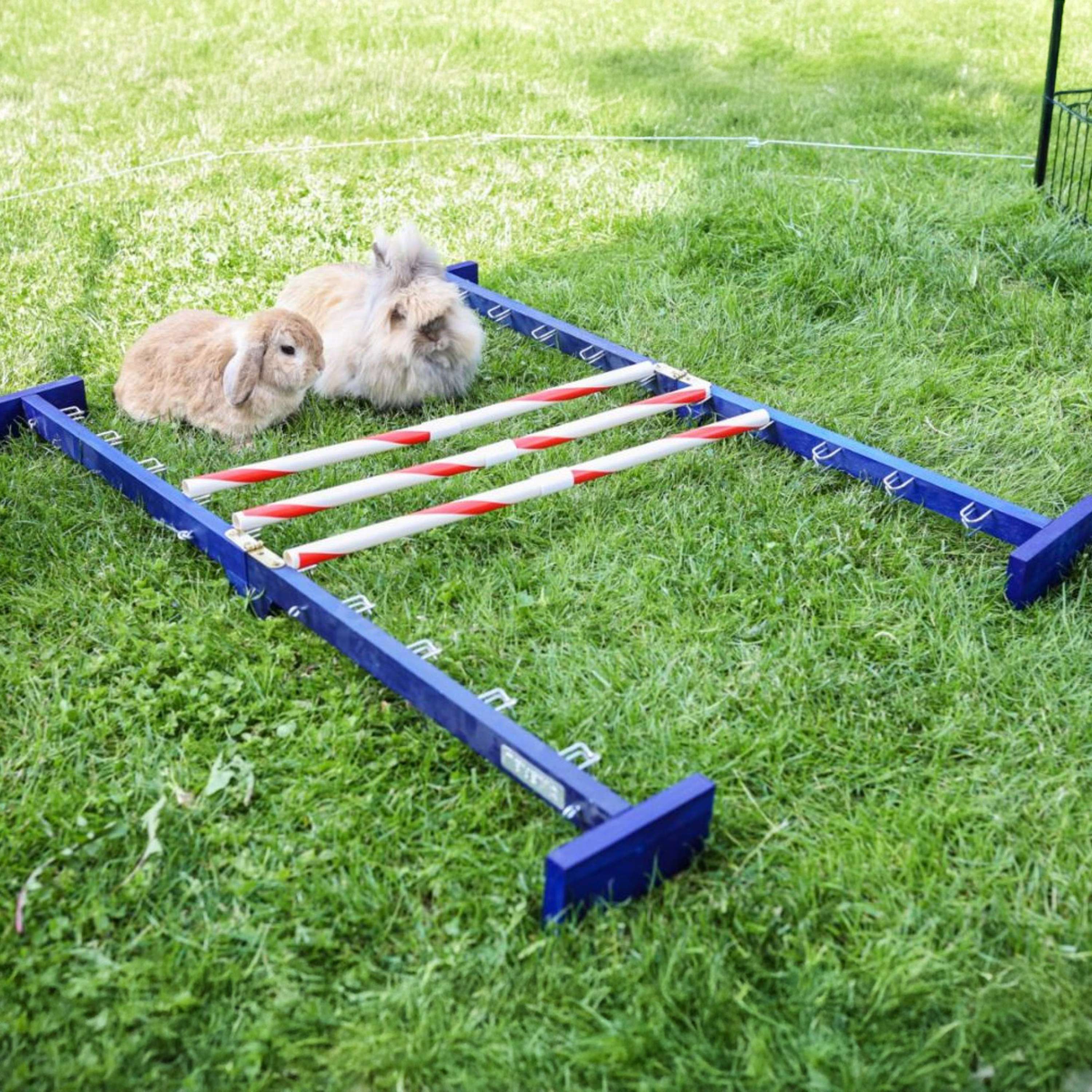 Kerbl Coniglio Hurdle Agility 2 - Image 6