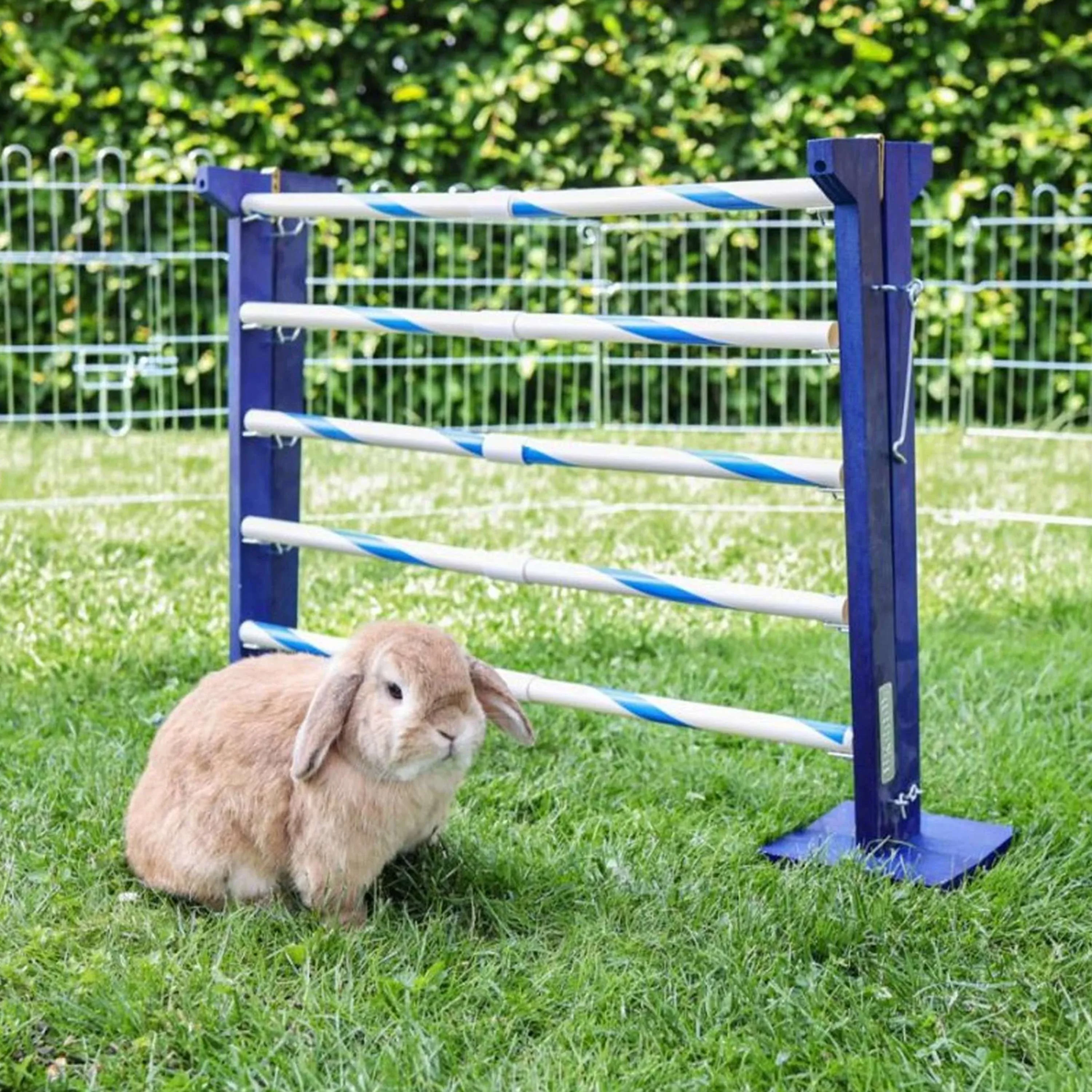 Kerbl Coniglio Hurdle Agility 2 - Image 8