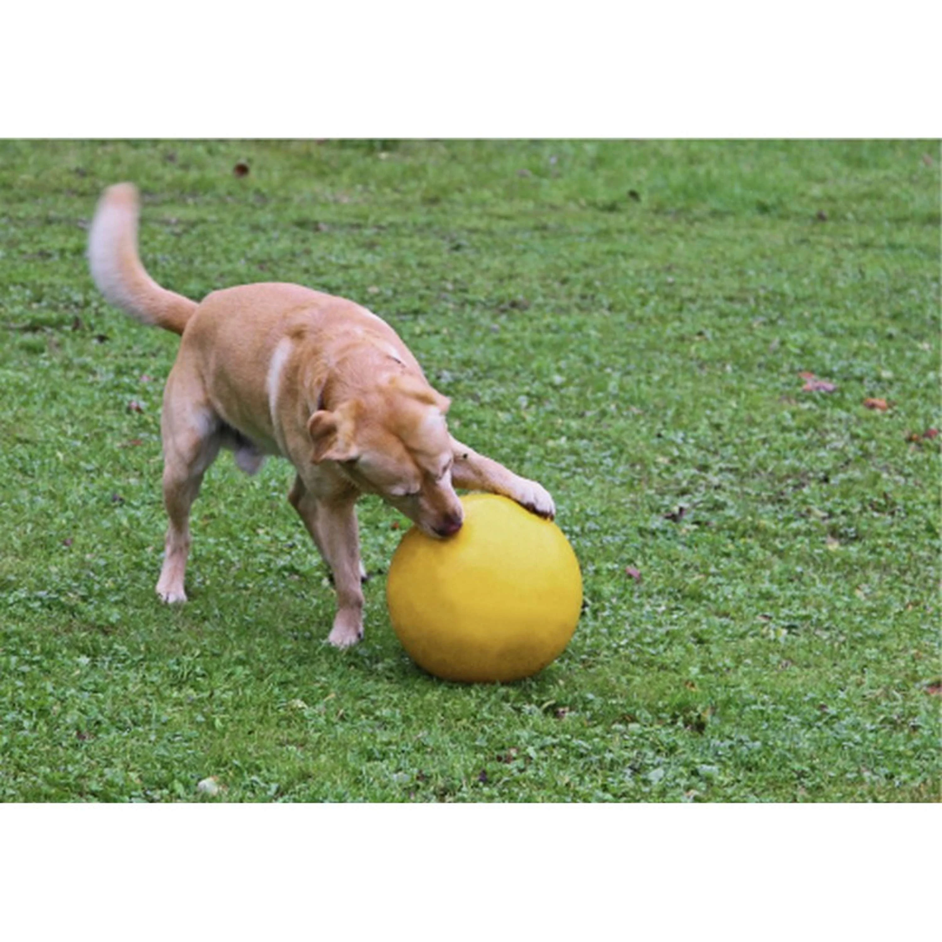 Kerbl Giocattolo per Cani Giallo - Image 3