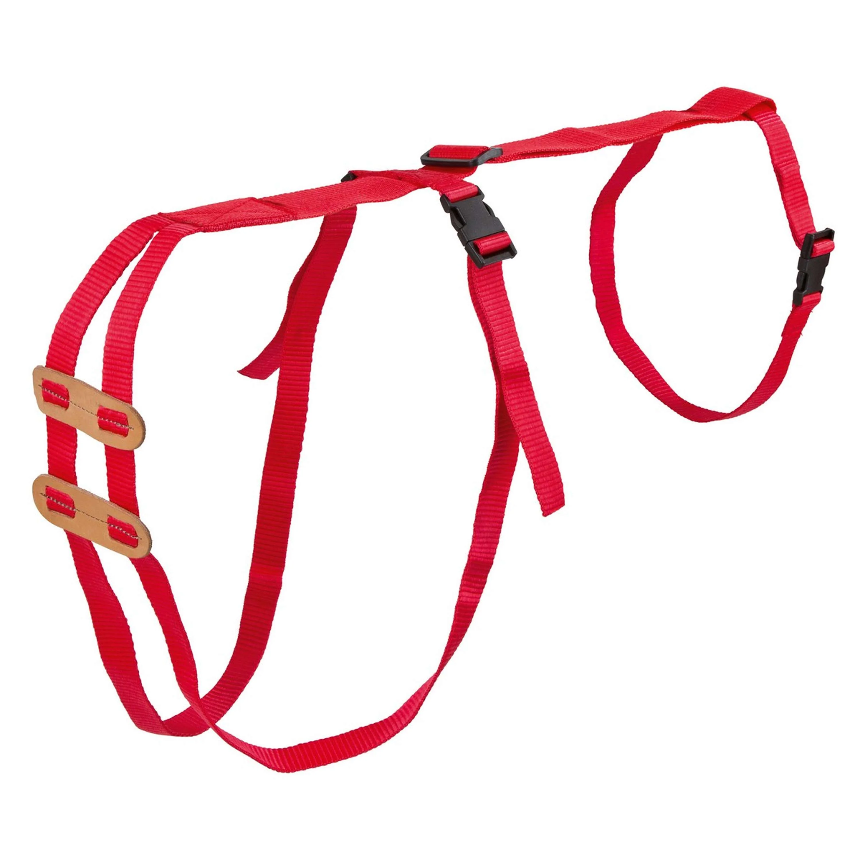 Kerbl Imbracatura per Prolasso - Image 2