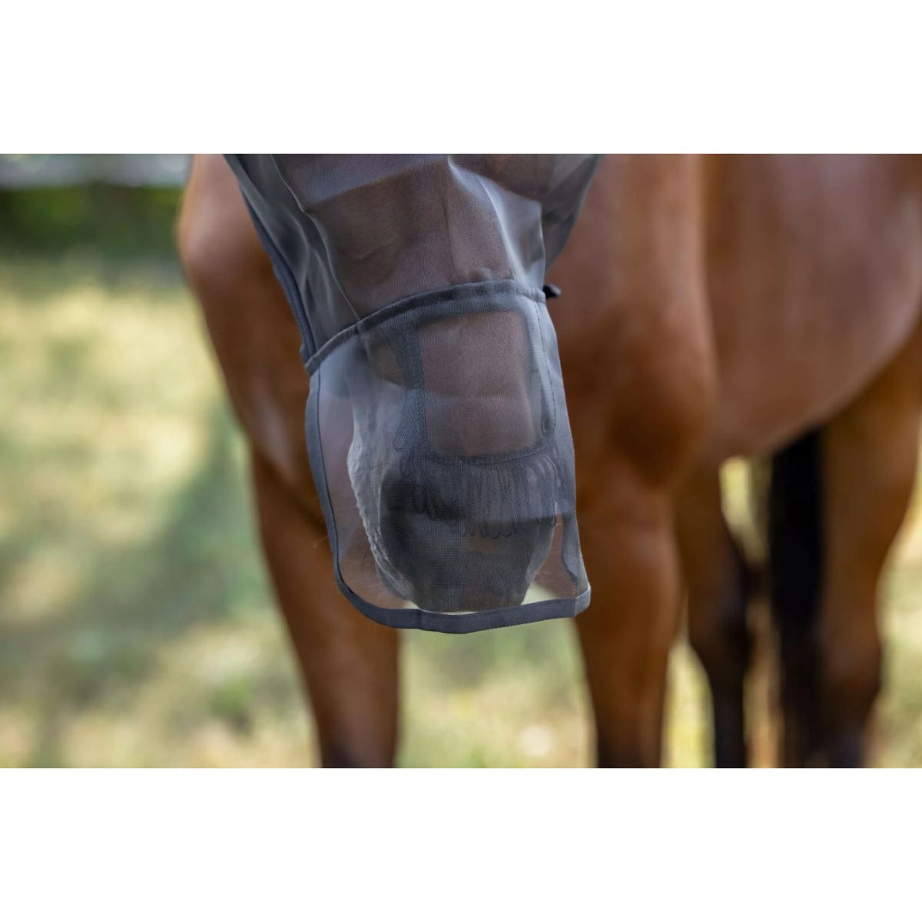 Kerbl Maschera per Mosche Nero - Image 6