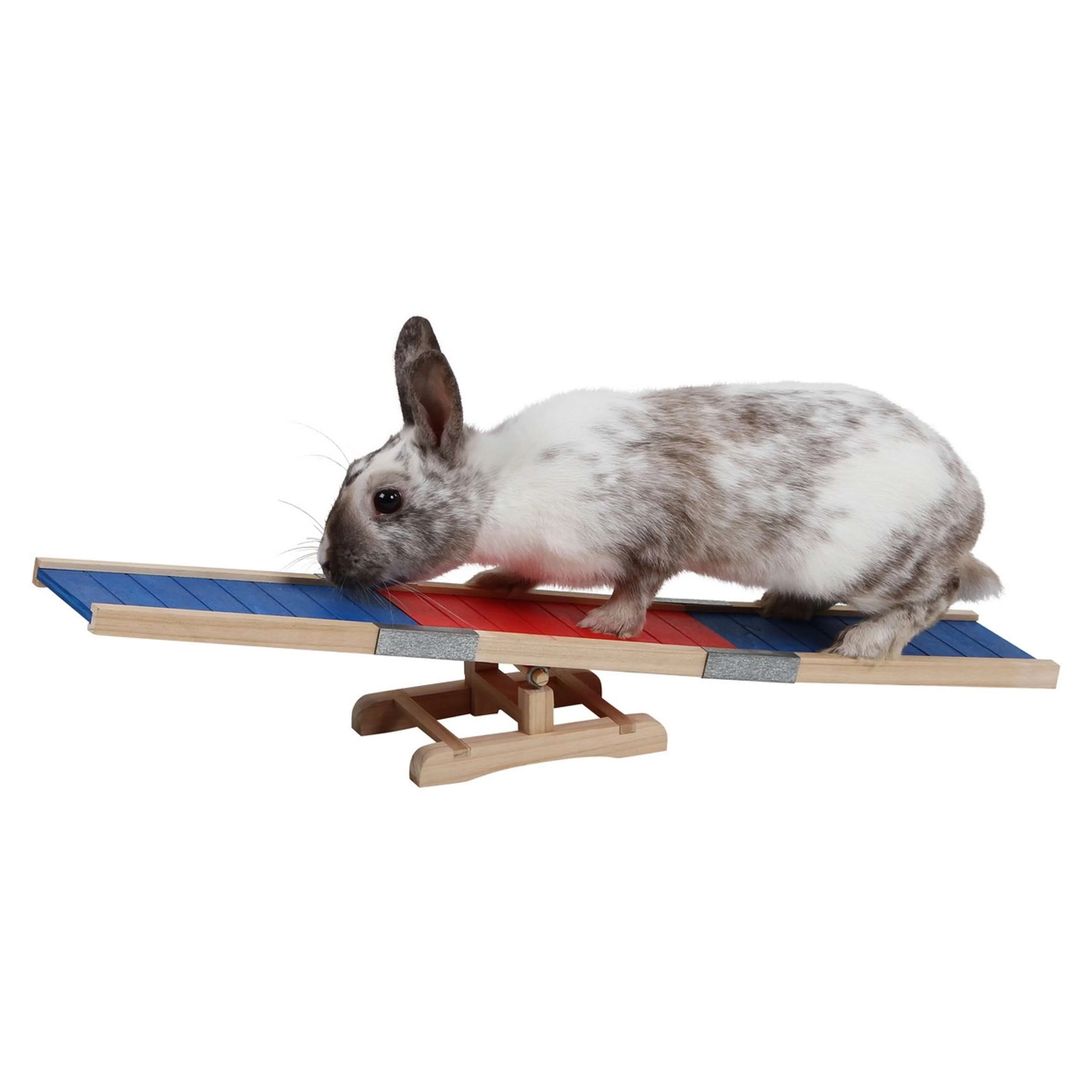 Kerbl Passerella Agility - Image 2