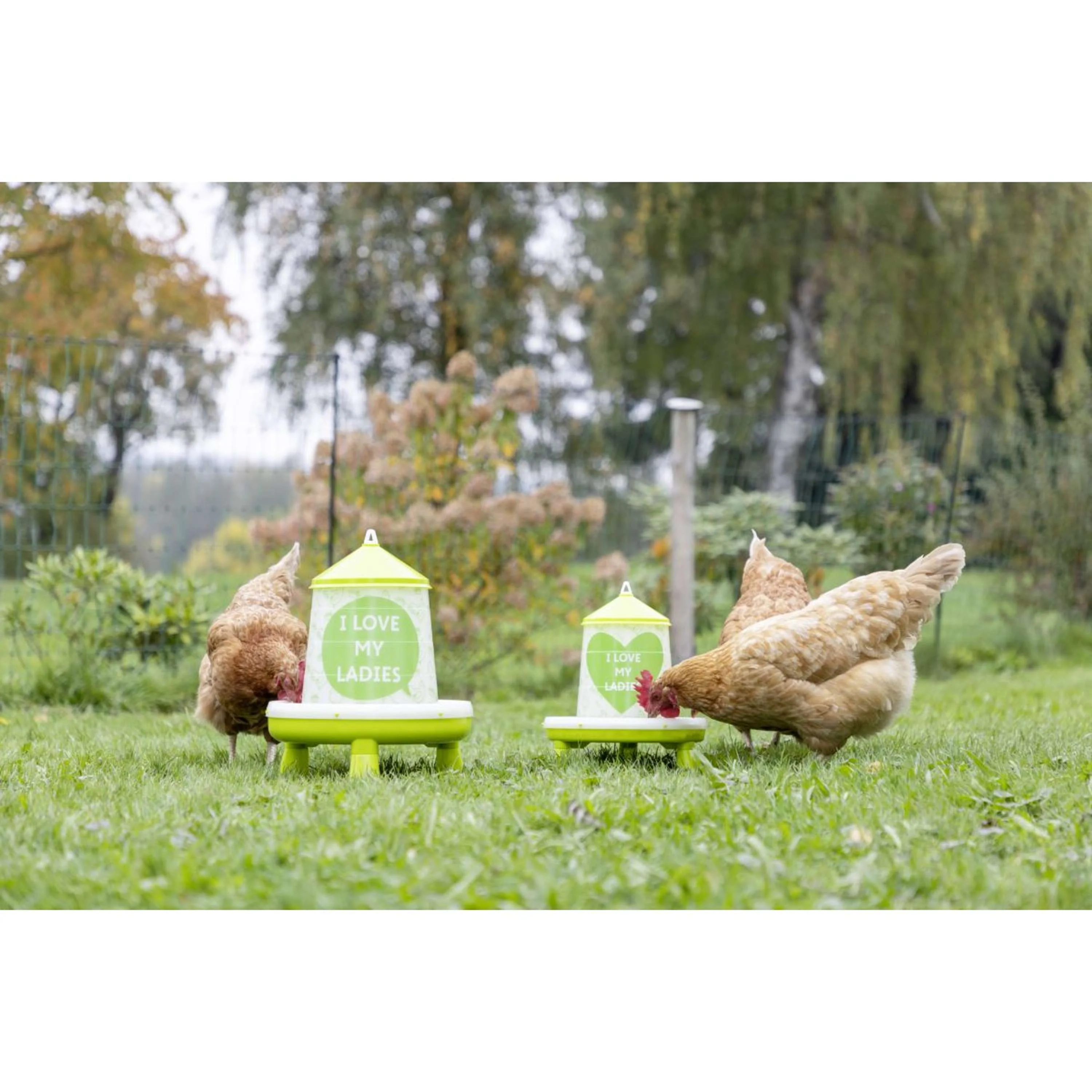 Kerbl Torre di Alimentazione per Pollame Love My Ladies - Image 3