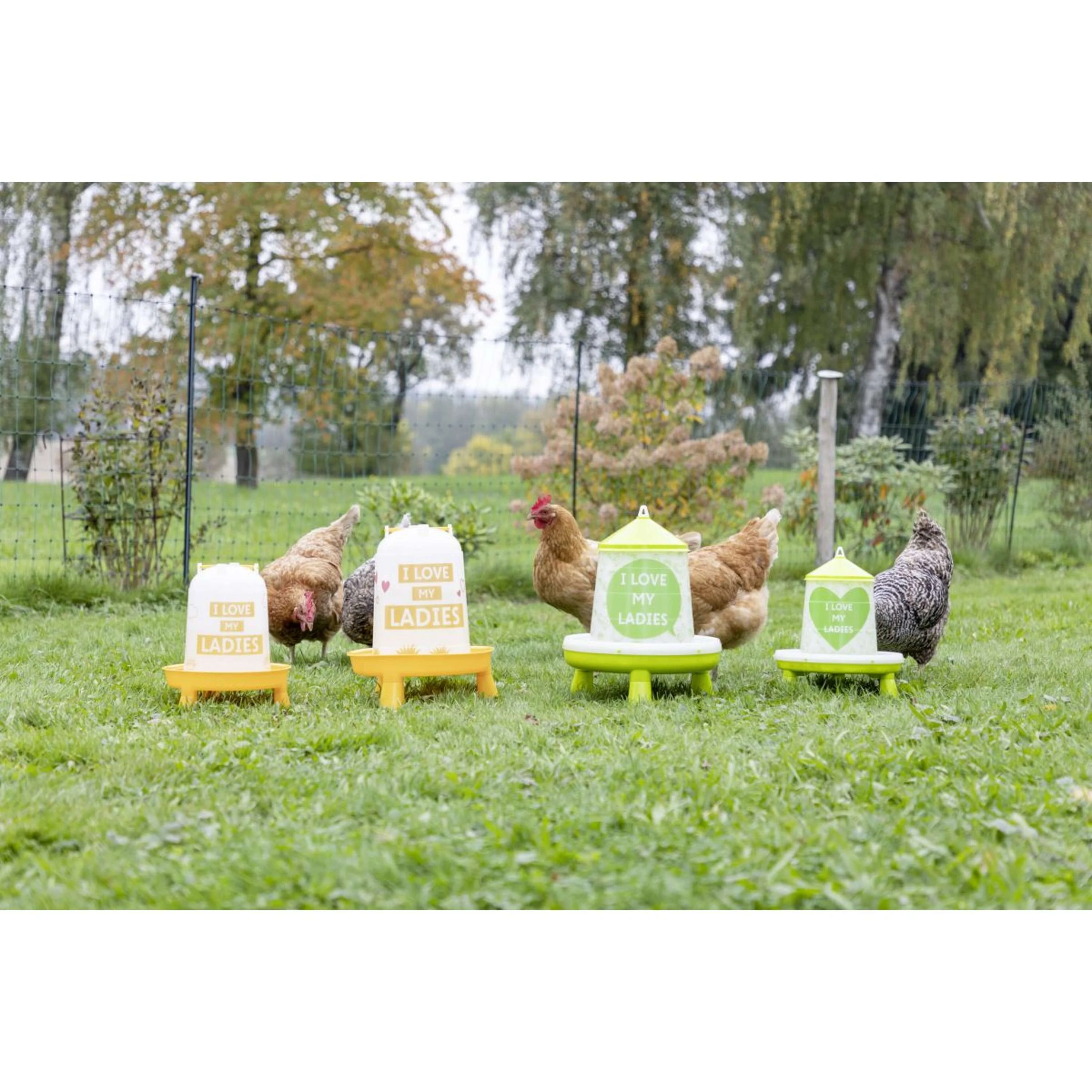 Kerbl Torre di Alimentazione per Pollame Love My Ladies - Image 4