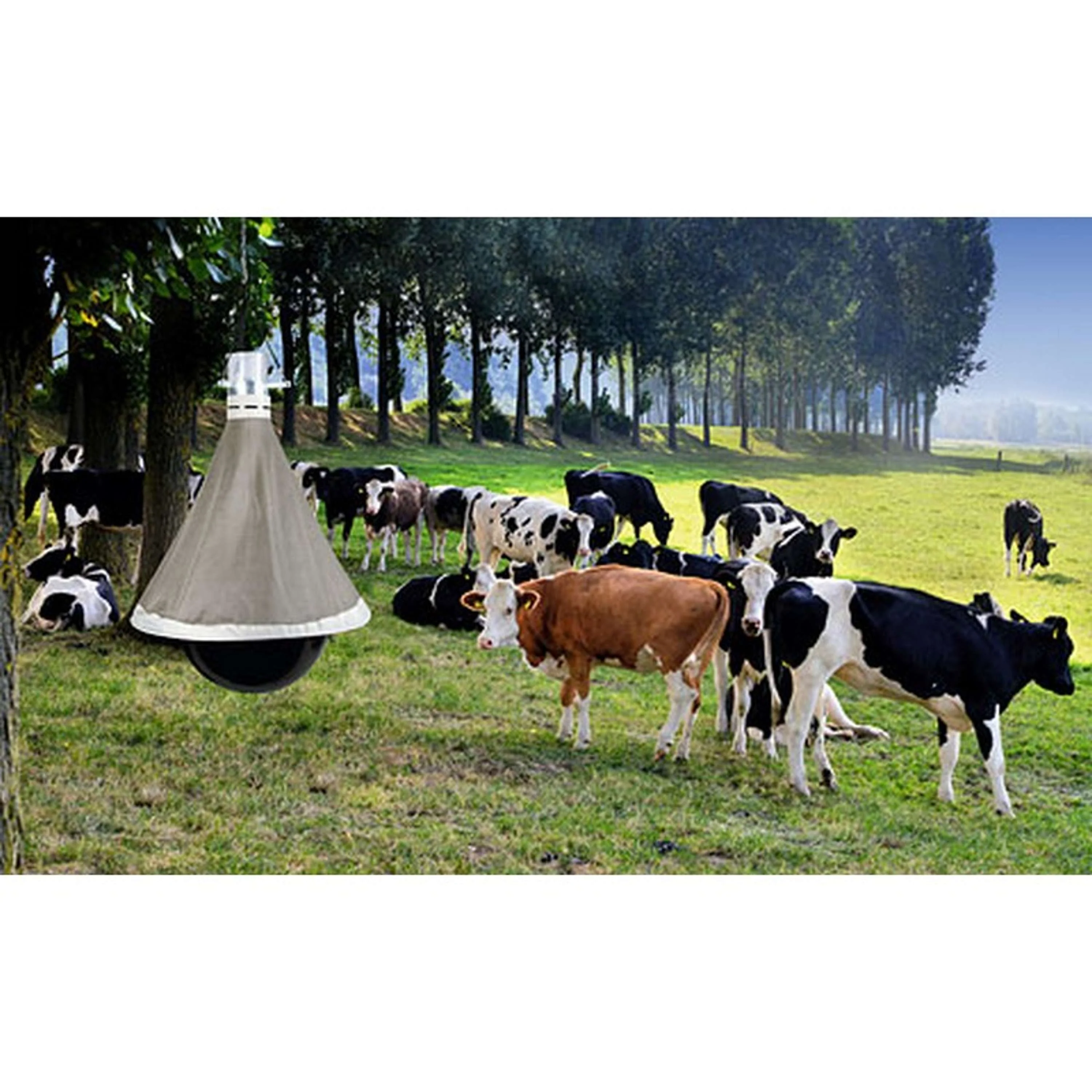 Kerbl Trappola per Tafani TaonX Eco - Image 3