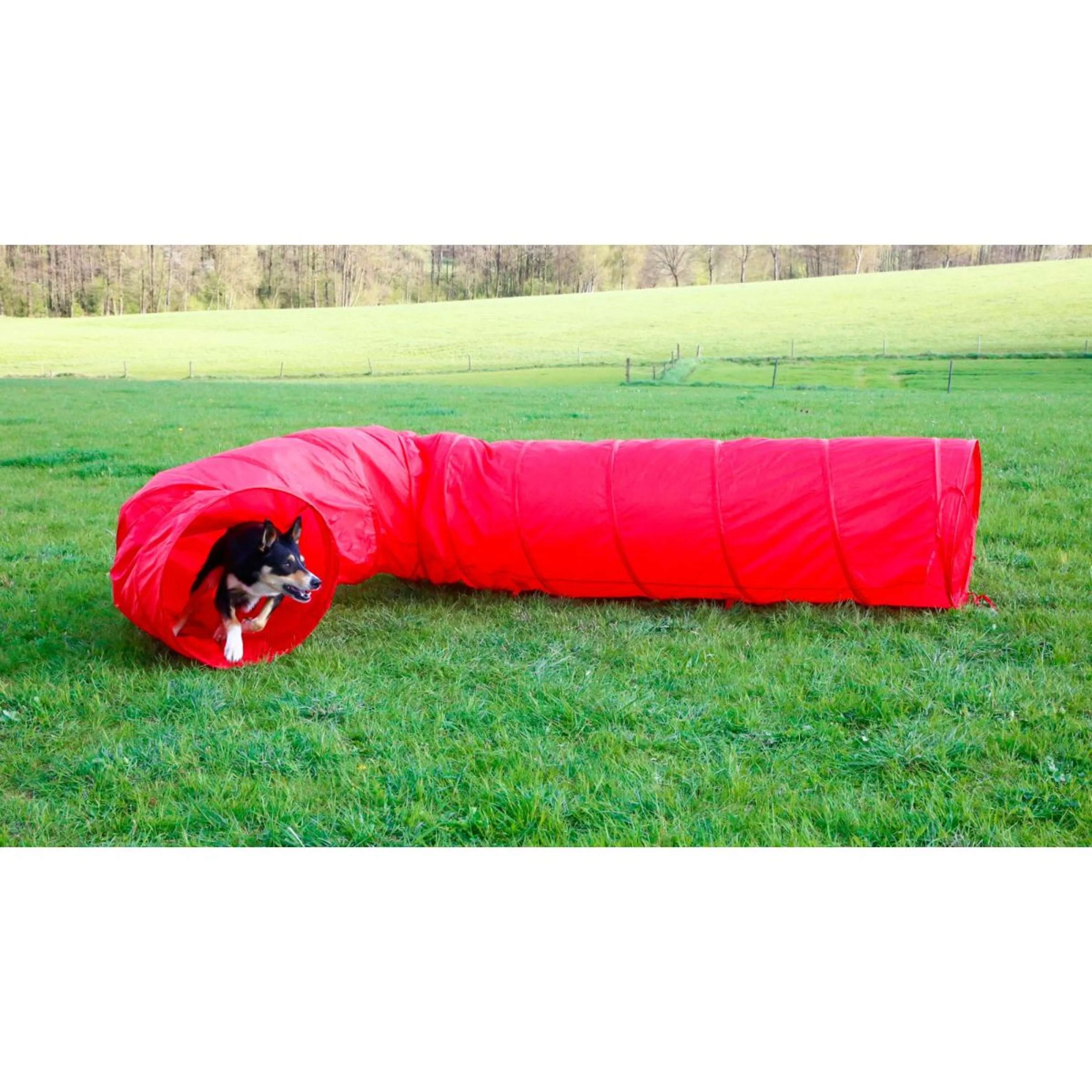 Kerbl Tubo Agility per Cani Rosso - Image 3
