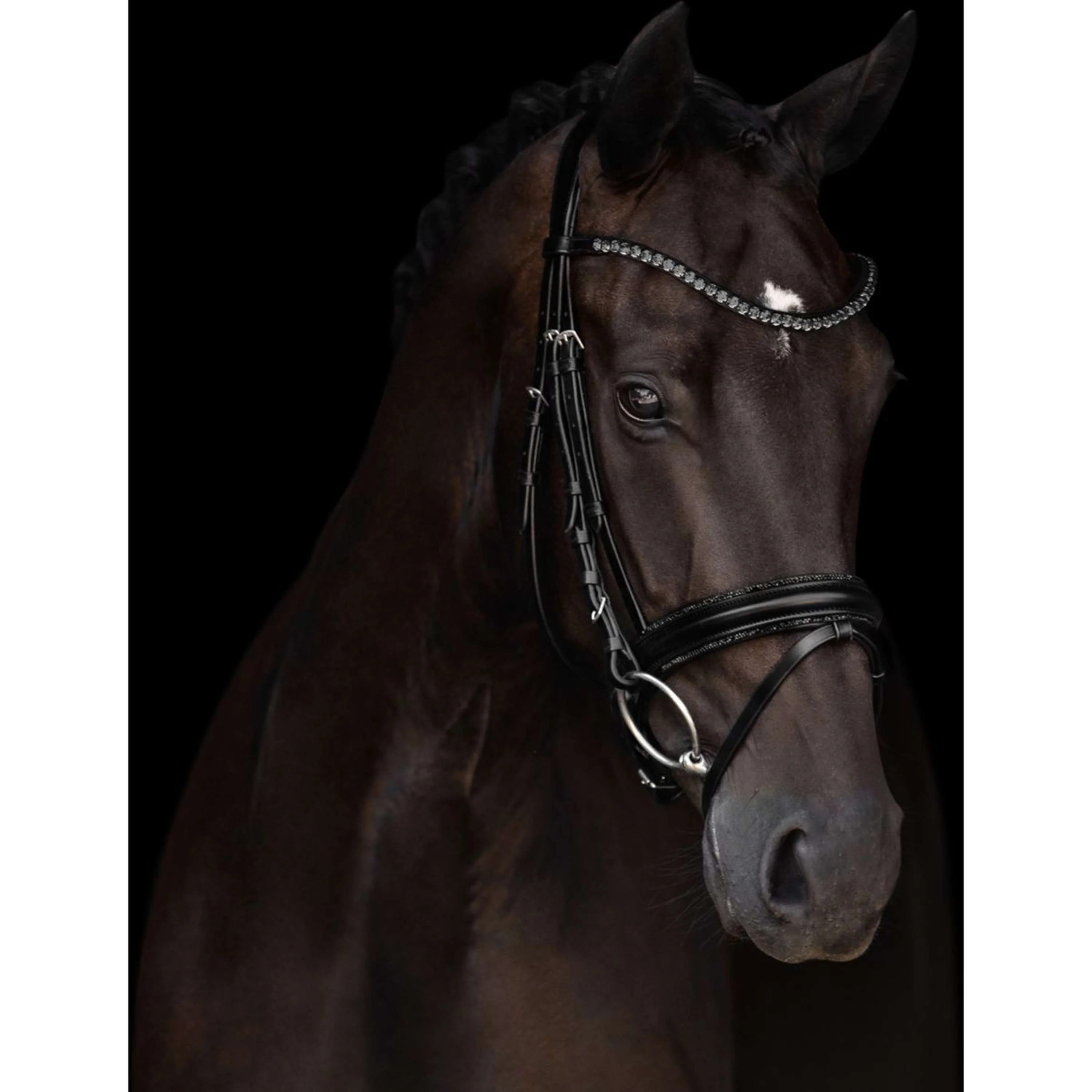 Kieffer Briglia Grace Nero - Image 2