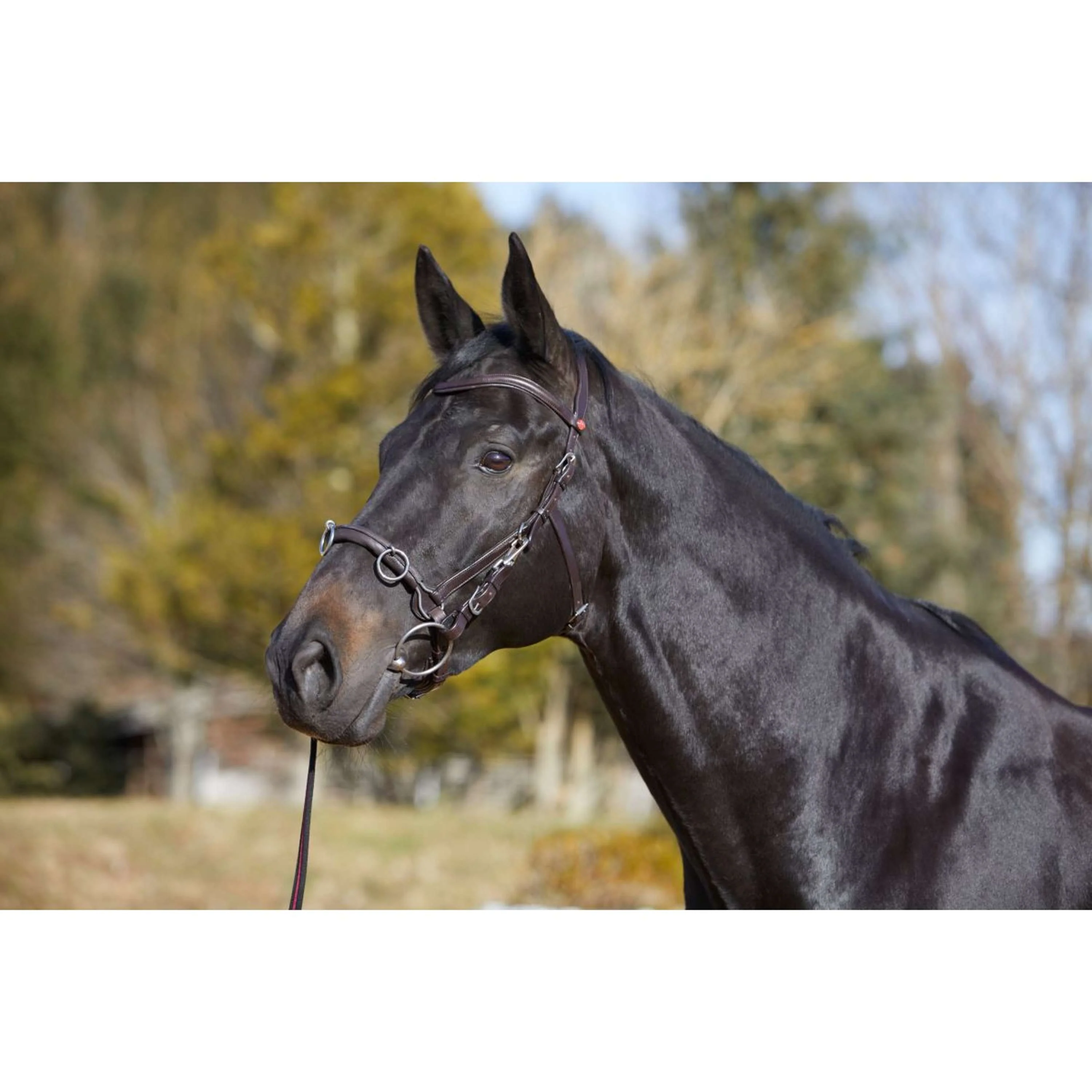 Kieffer Cavezzone Utrasoft Nero - Image 2