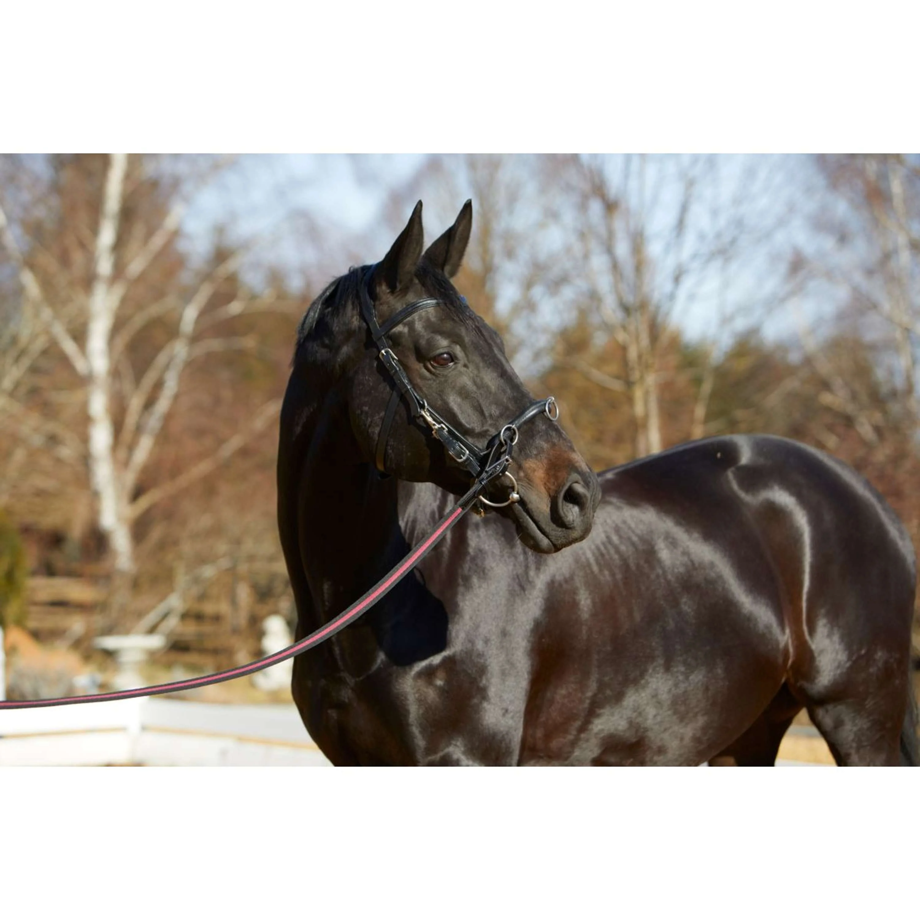 Kieffer Cavezzone Utrasoft Nero - Image 8