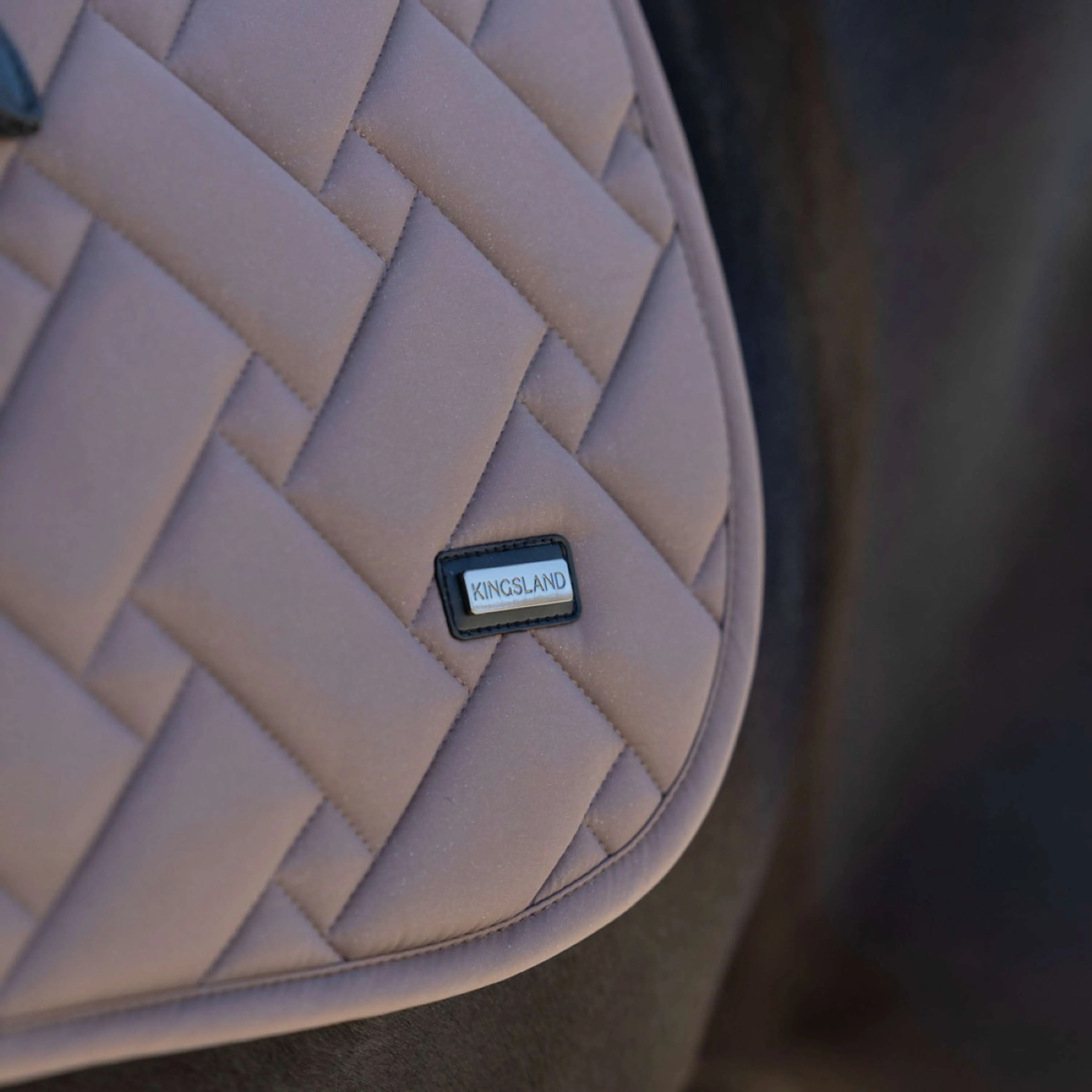 Kingsland Sottosella KLLexie Dressage Brown Iron - Image 4